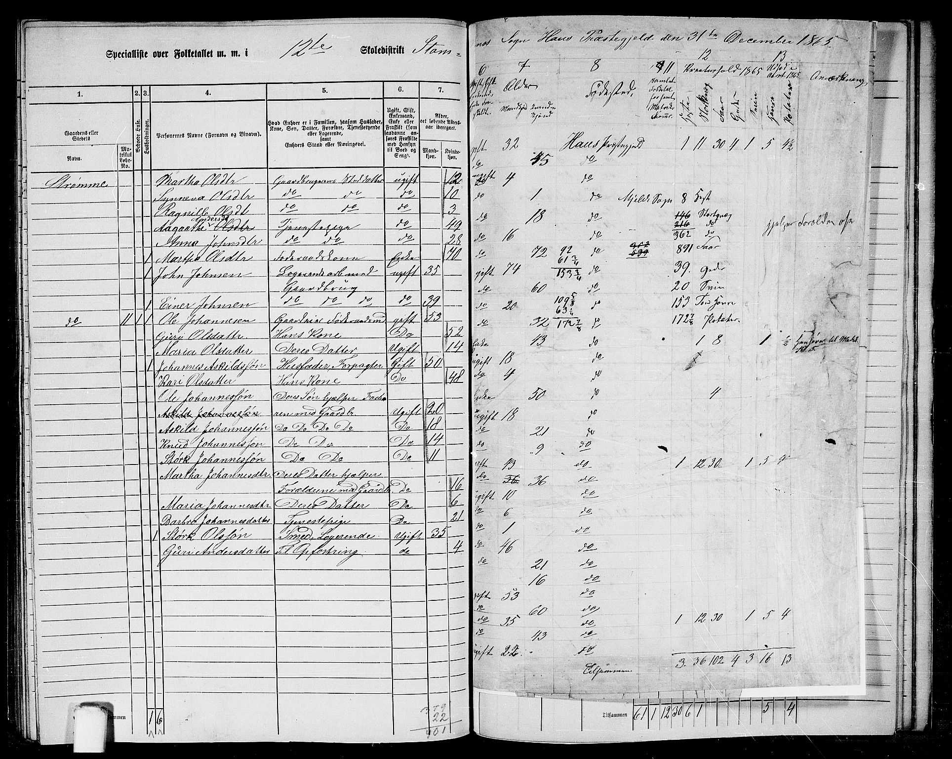 RA, 1865 census for Haus, 1865, p. 247