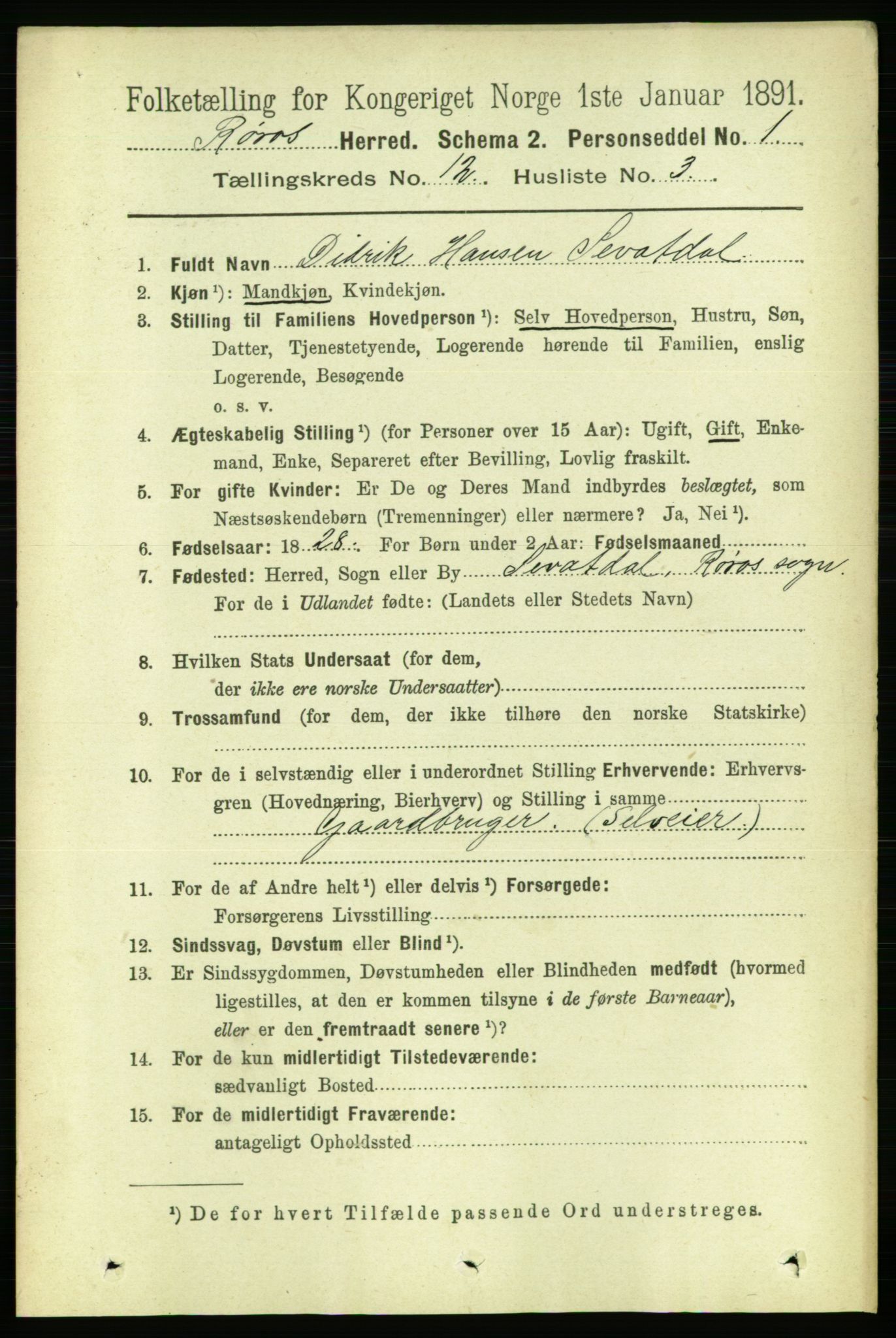 RA, 1891 census for 1640 Røros, 1891, p. 2382