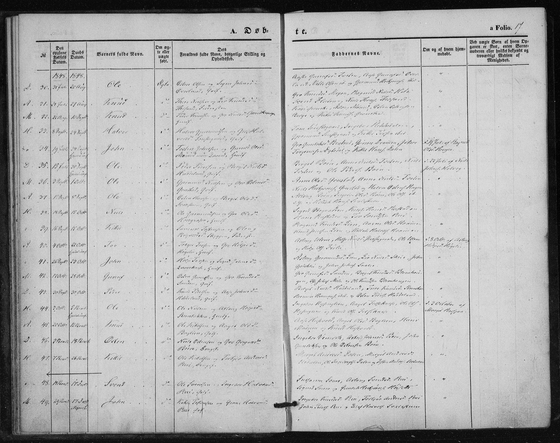 Tinn kirkebøker, AV/SAKO-A-308/F/Fa/L0005: Parish register (official) no. I 5, 1844-1856, p. 17