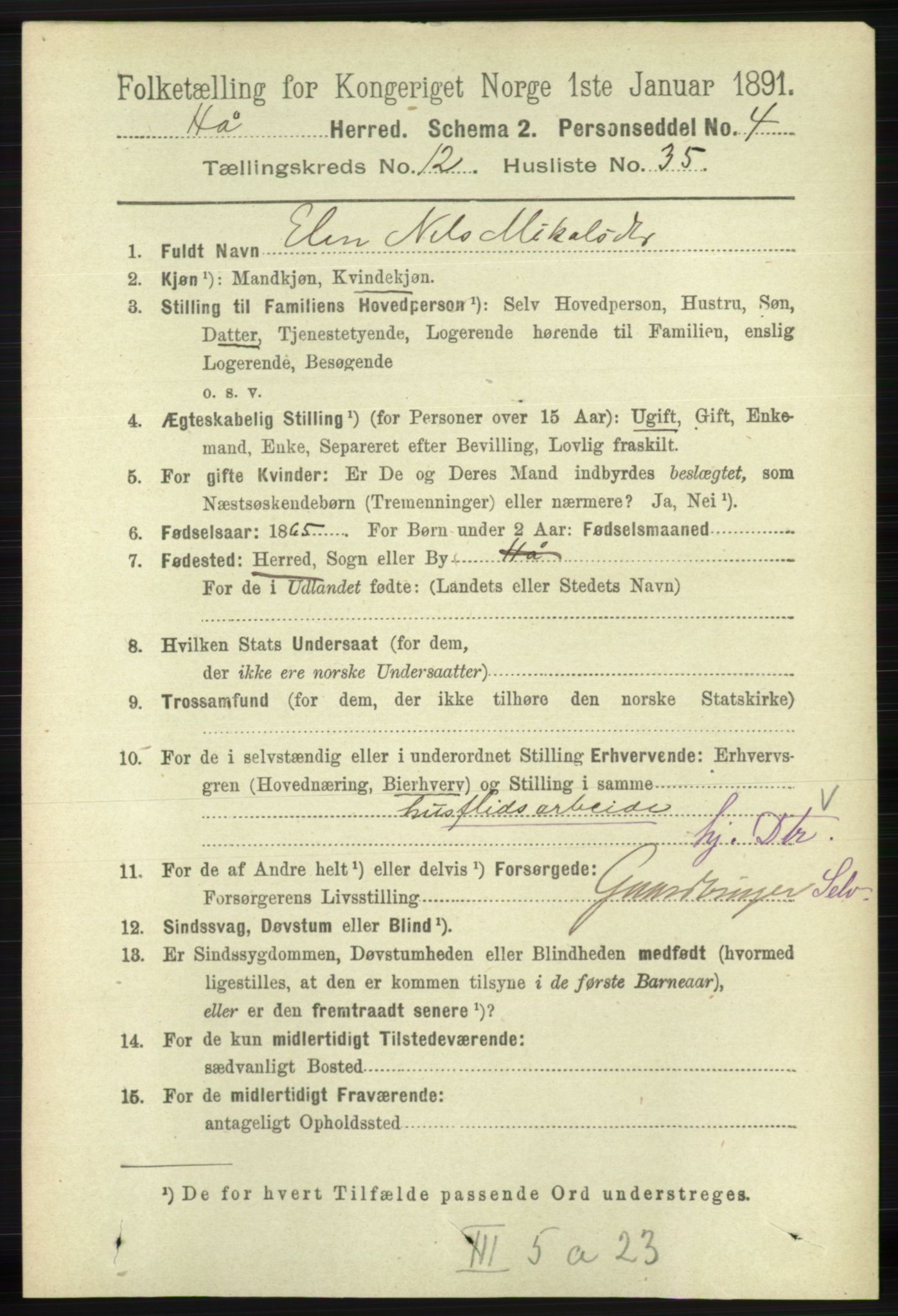 RA, 1891 census for 1119 Hå, 1891, p. 3101