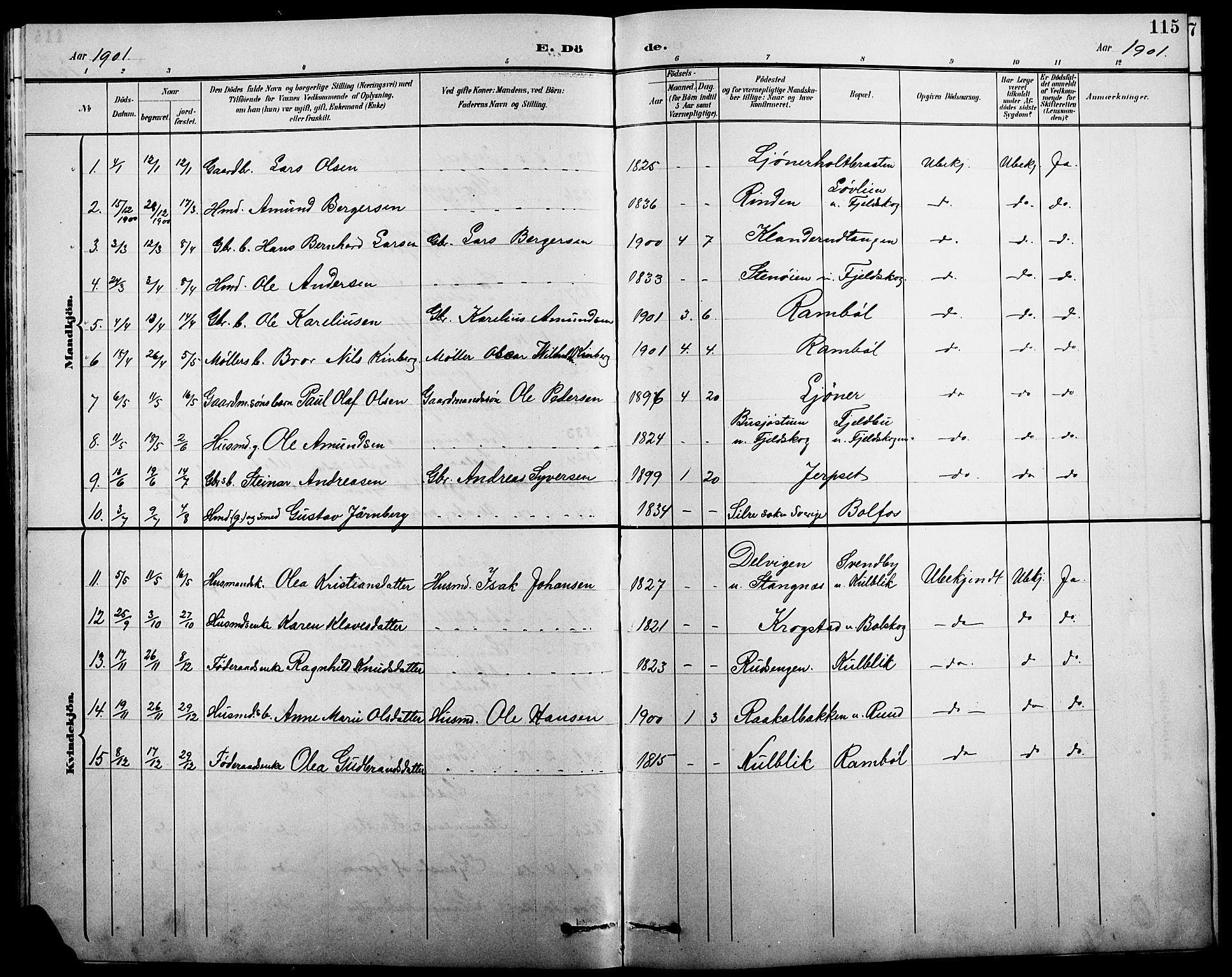 Eidskog prestekontor, AV/SAH-PREST-026/H/Ha/Hab/L0002: Parish register (copy) no. 2, 1895-1923, p. 115