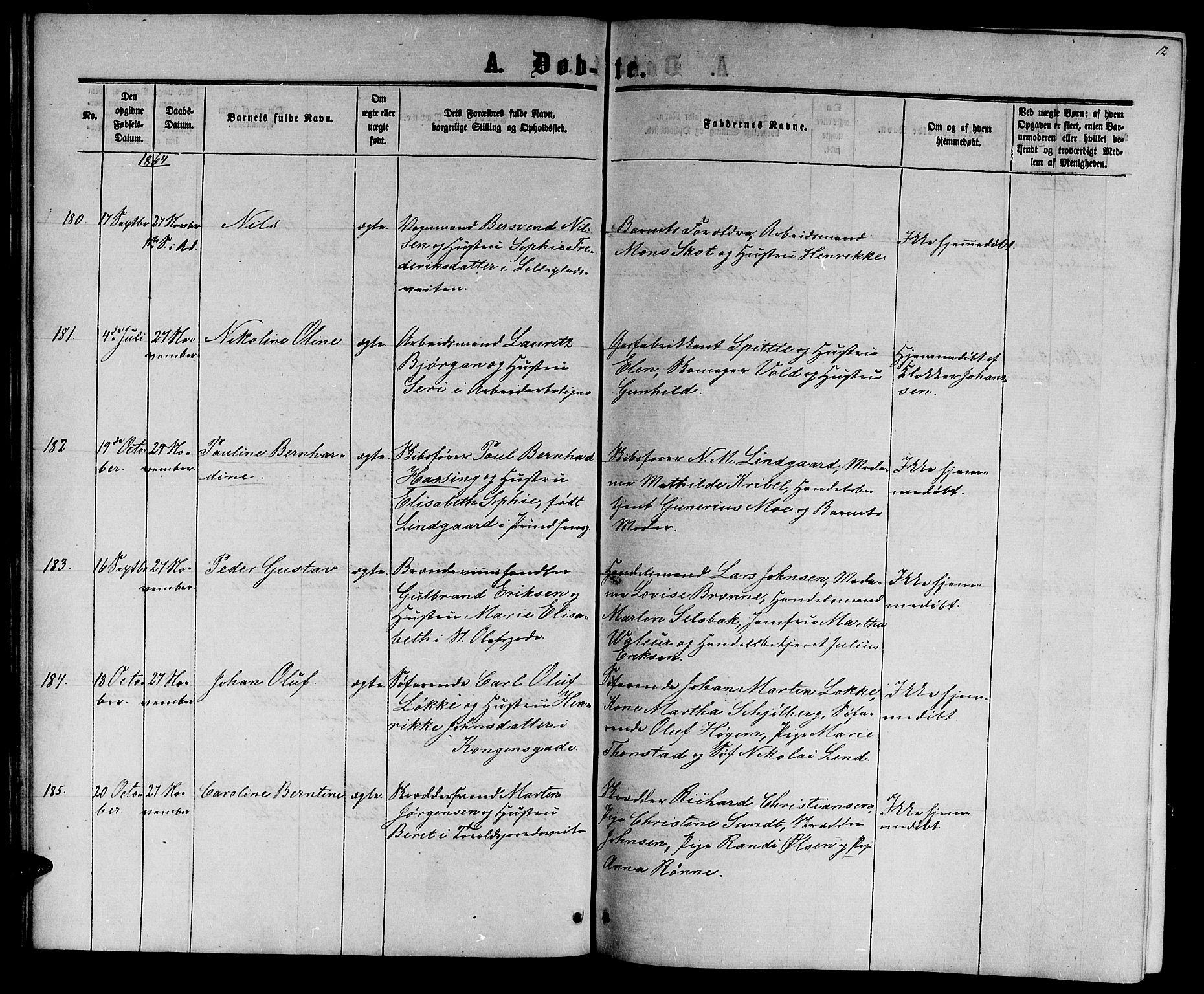 Ministerialprotokoller, klokkerbøker og fødselsregistre - Sør-Trøndelag, AV/SAT-A-1456/601/L0087: Parish register (copy) no. 601C05, 1864-1881, p. 12