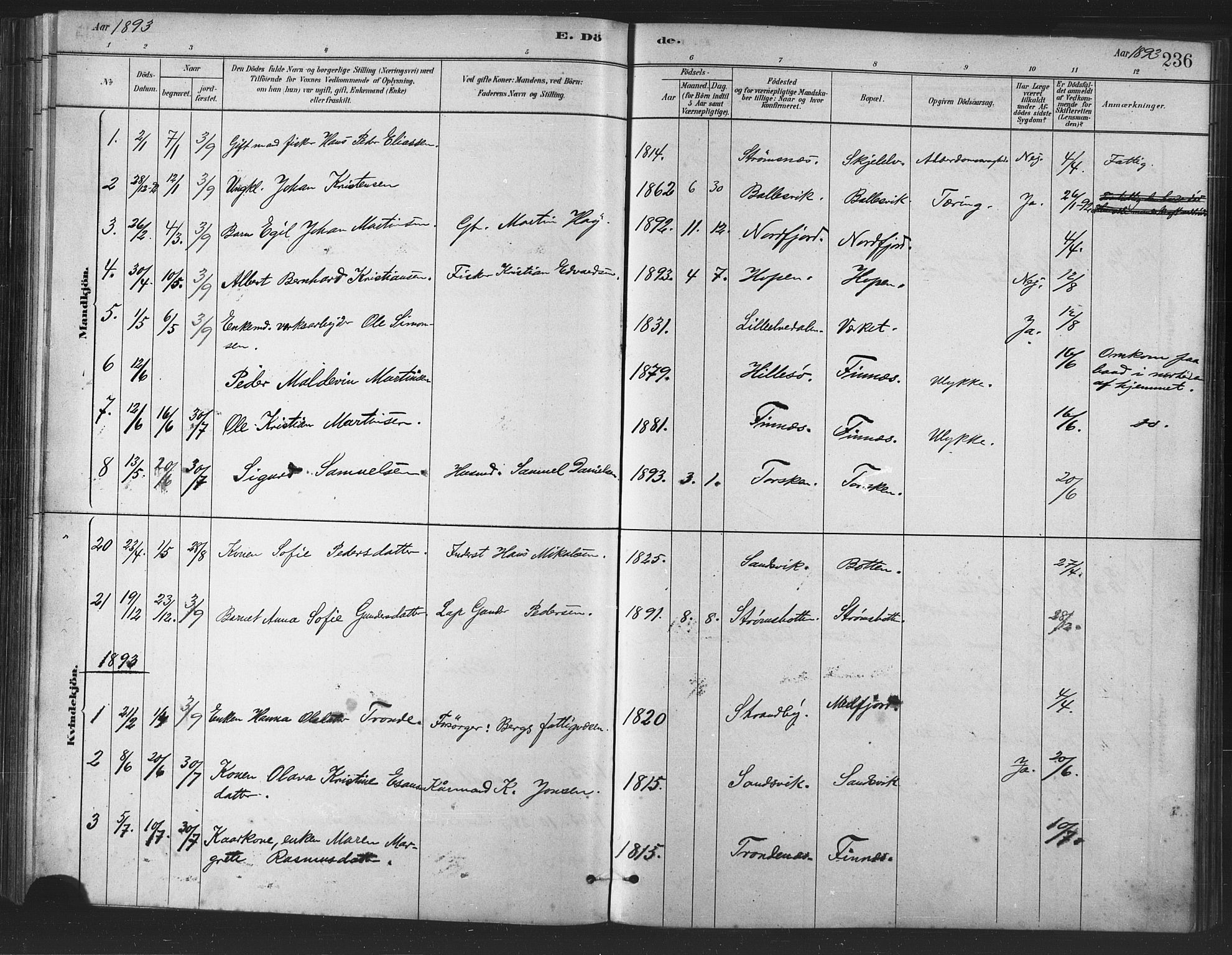 Berg sokneprestkontor, SATØ/S-1318/G/Ga/Gaa/L0004kirke: Parish register (official) no. 4, 1880-1894, p. 236