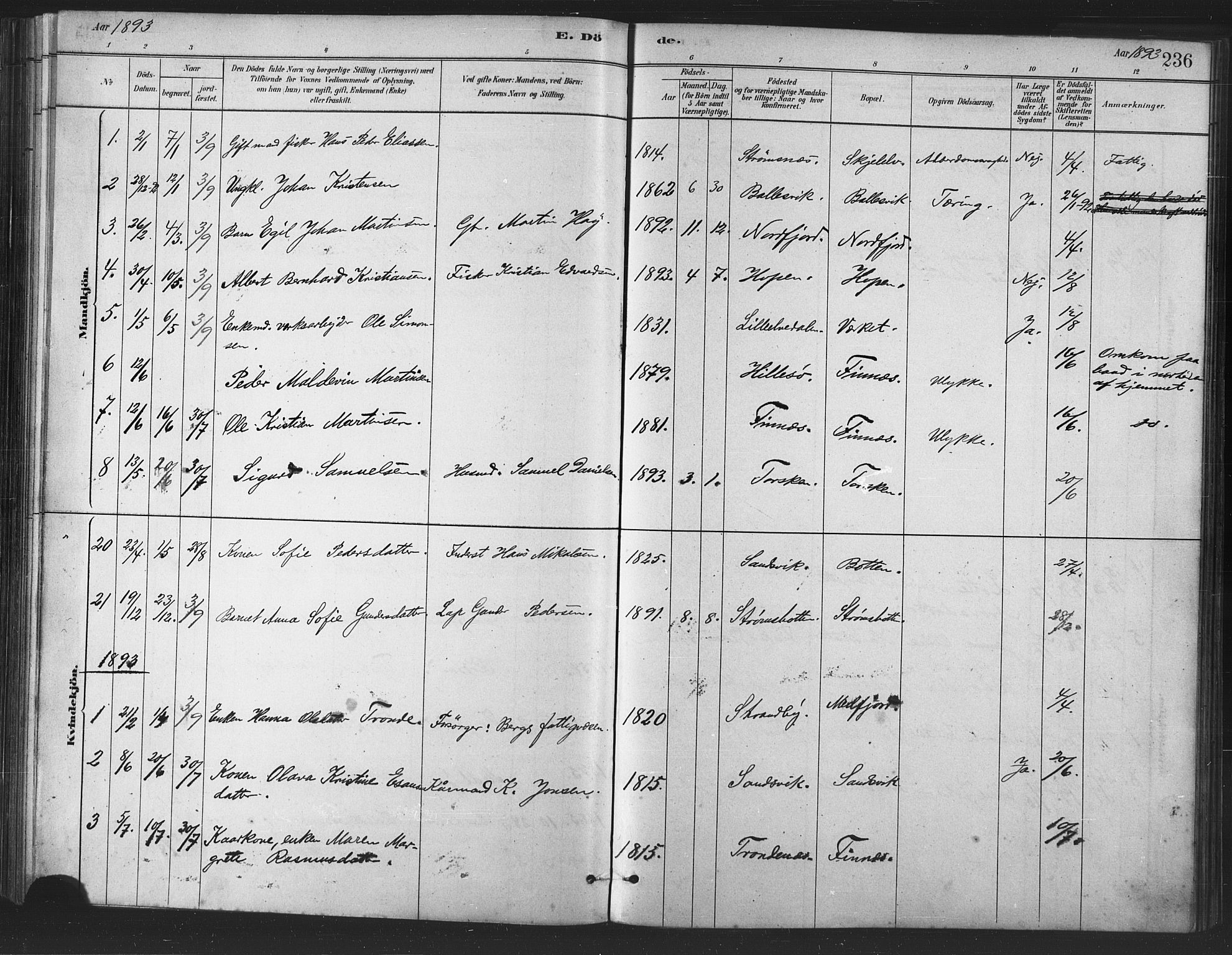 Berg sokneprestkontor, AV/SATØ-S-1318/G/Ga/Gaa/L0004kirke: Parish register (official) no. 4, 1880-1894, p. 236