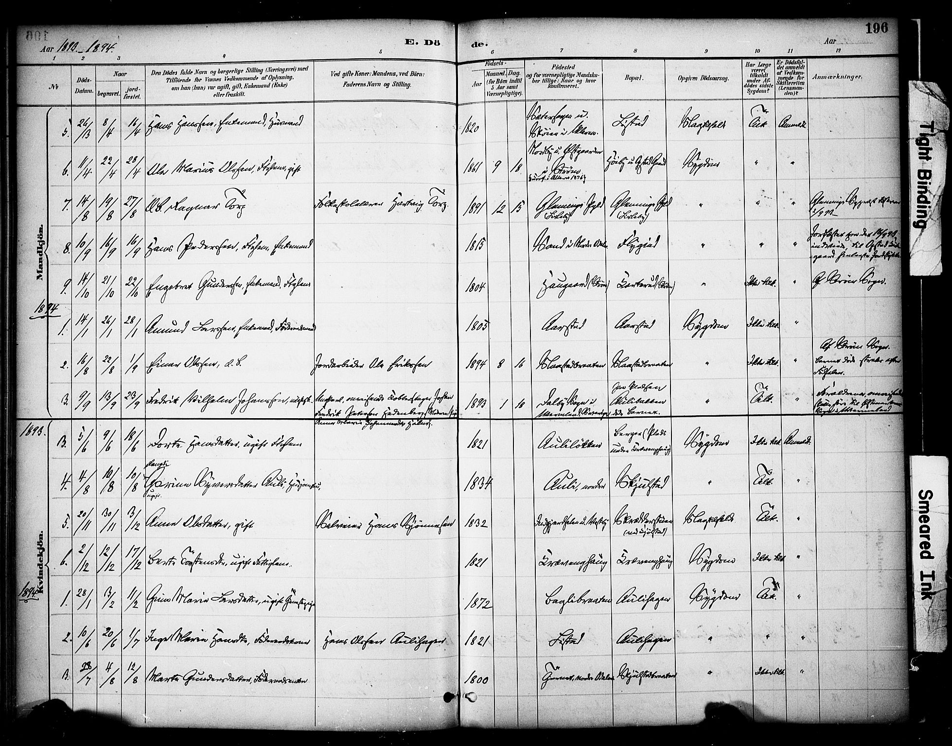 Sør-Odal prestekontor, SAH/PREST-030/H/Ha/Haa/L0009: Parish register (official) no. 9, 1886-1926, p. 196