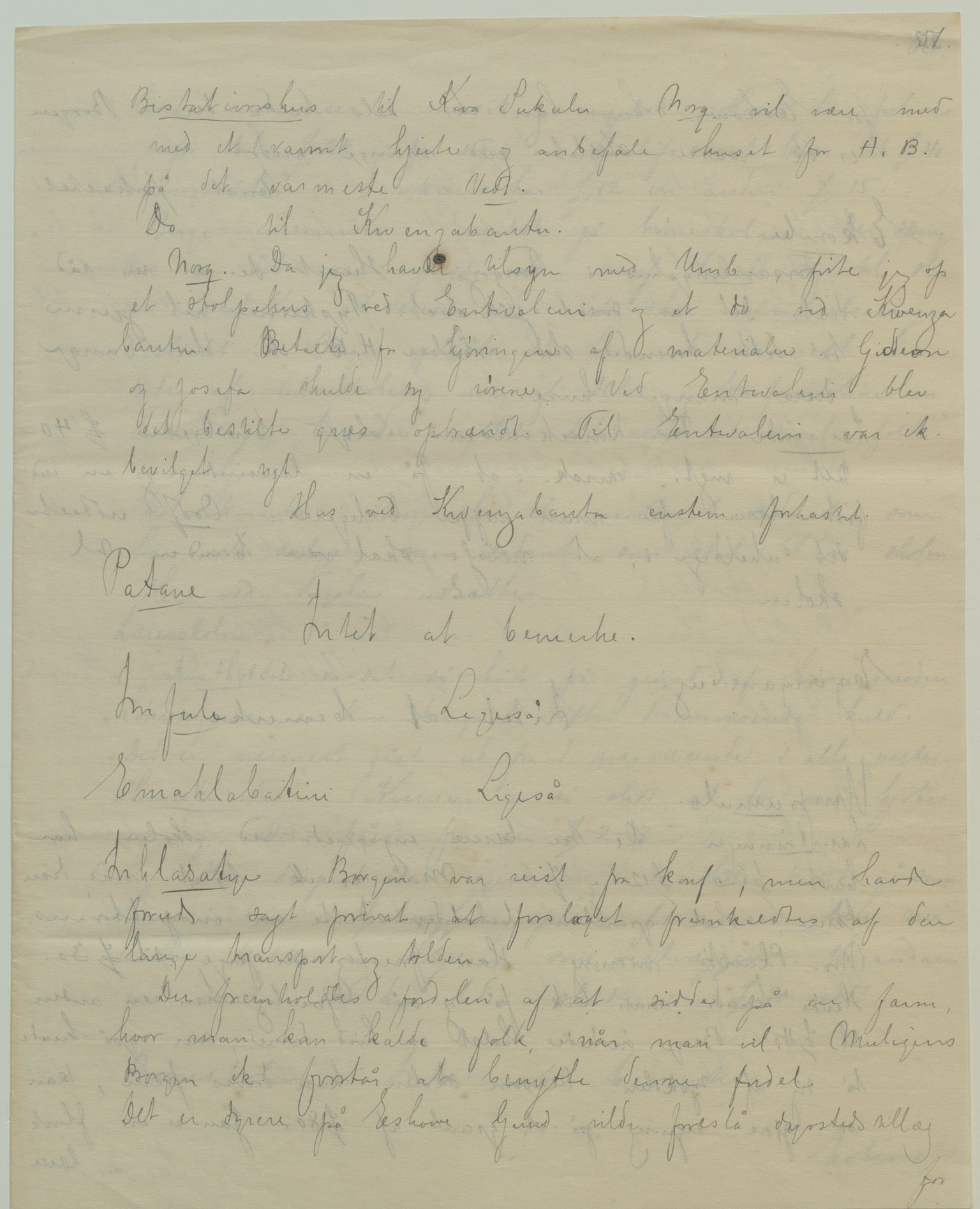 Det Norske Misjonsselskap - hovedadministrasjonen, VID/MA-A-1045/D/Da/Daa/L0041/0003: Konferansereferat og årsberetninger / Konferansereferat fra Sør-Afrika., 1896, p. 51