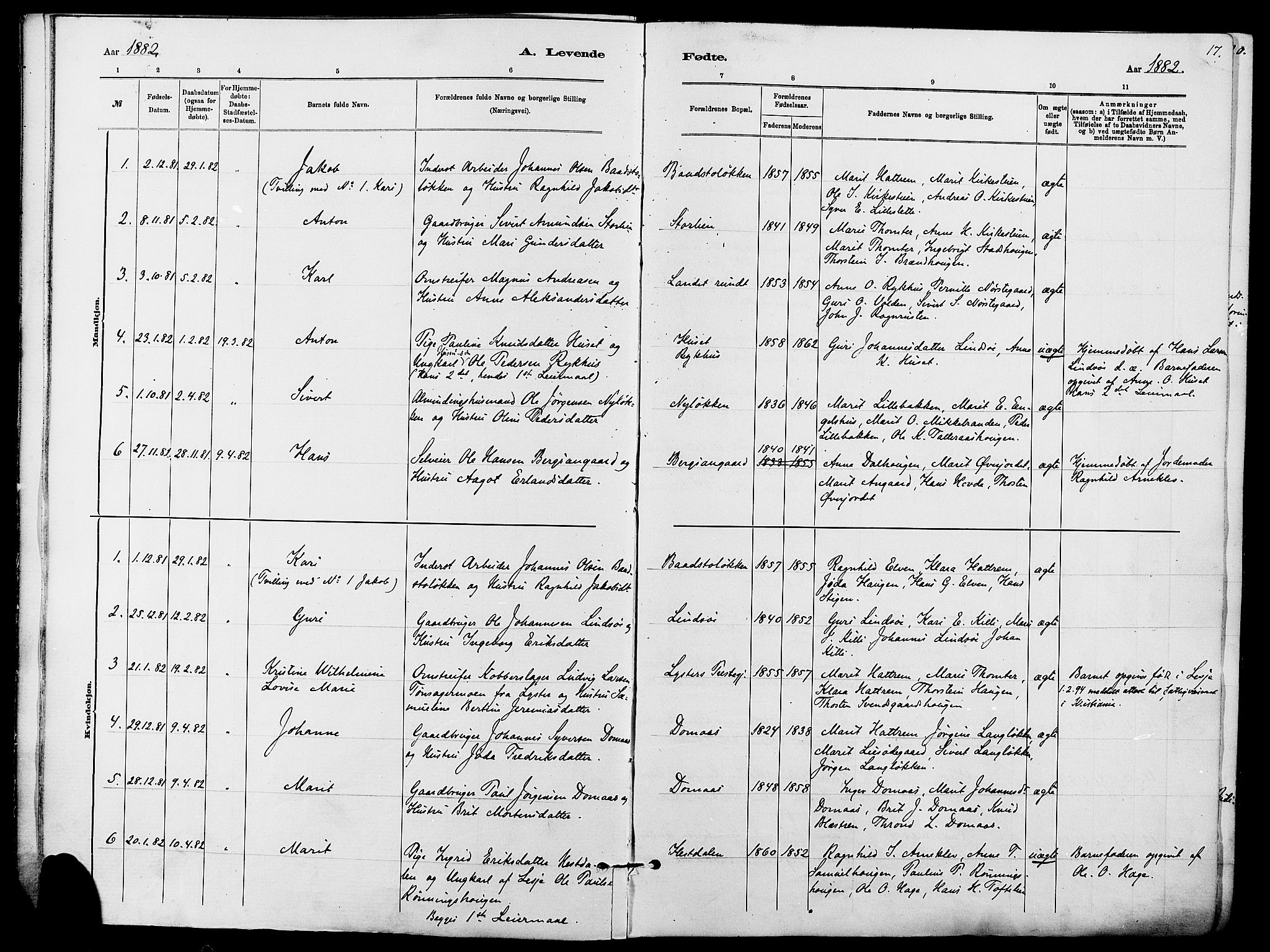 Dovre prestekontor, SAH/PREST-066/H/Ha/Haa/L0002: Parish register (official) no. 2, 1879-1890, p. 17