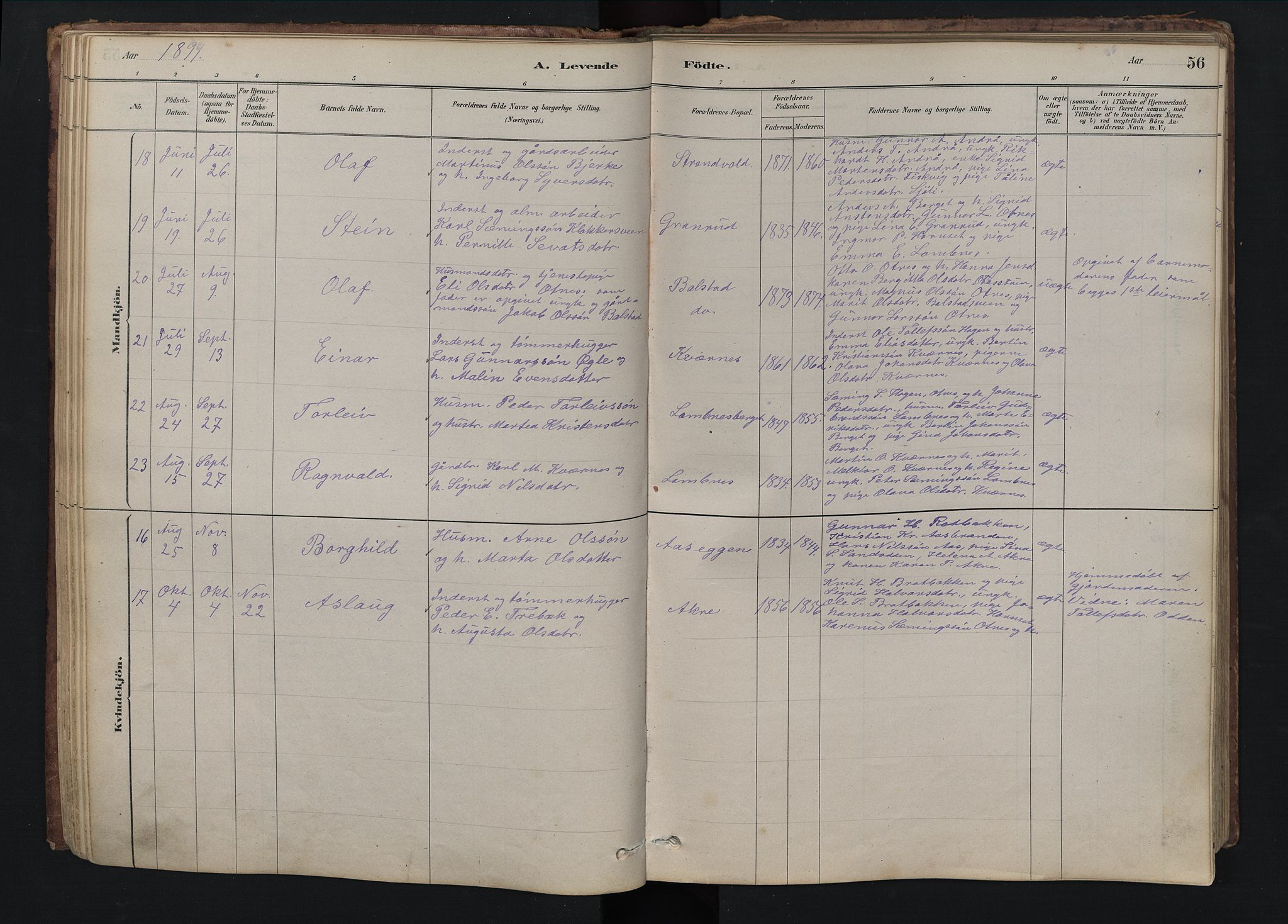 Rendalen prestekontor, SAH/PREST-054/H/Ha/Hab/L0009: Parish register (copy) no. 9, 1879-1902, p. 56