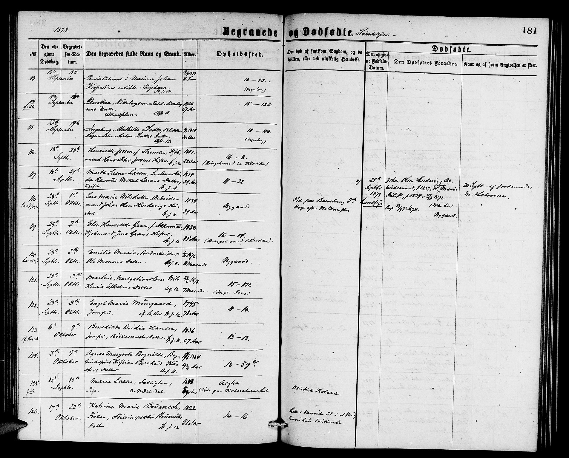 Domkirken sokneprestembete, SAB/A-74801/H/Hab/L0040: Parish register (copy) no. E 4, 1868-1877, p. 181