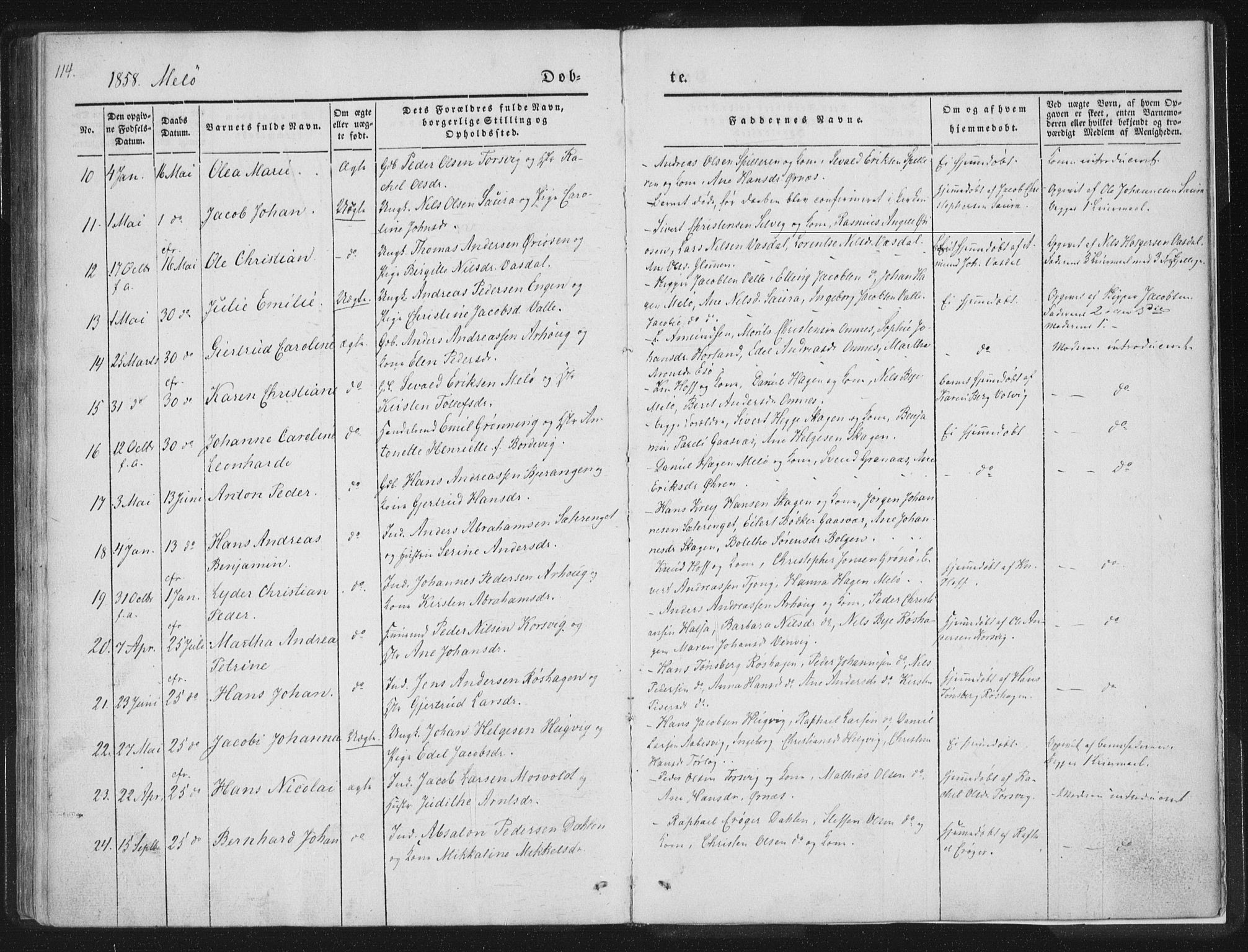 Ministerialprotokoller, klokkerbøker og fødselsregistre - Nordland, AV/SAT-A-1459/841/L0602: Parish register (official) no. 841A08 /2, 1845-1859, p. 114