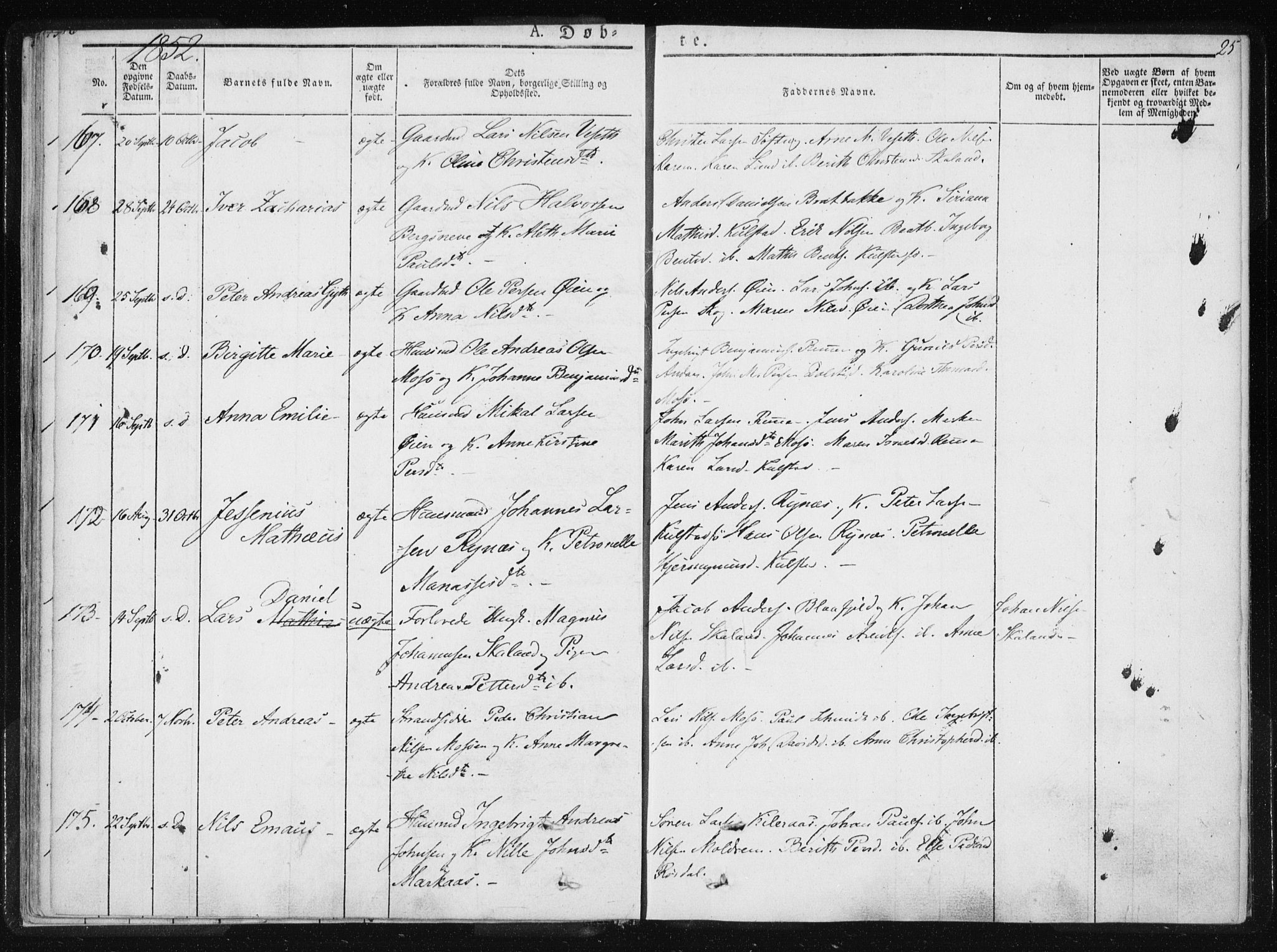 Ministerialprotokoller, klokkerbøker og fødselsregistre - Nordland, SAT/A-1459/820/L0292: Parish register (official) no. 820A13, 1851-1854, p. 25