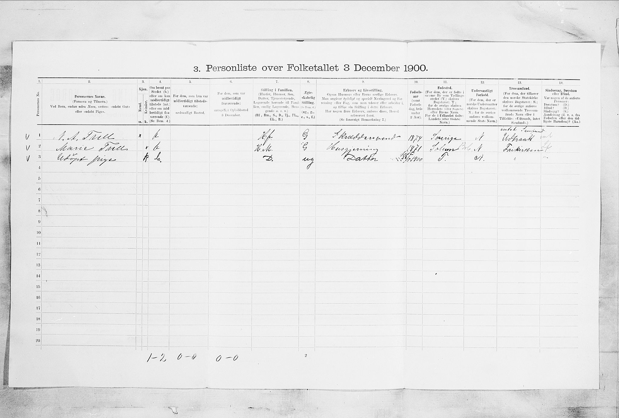 SAKO, 1900 census for Skien, 1900, p. 2117