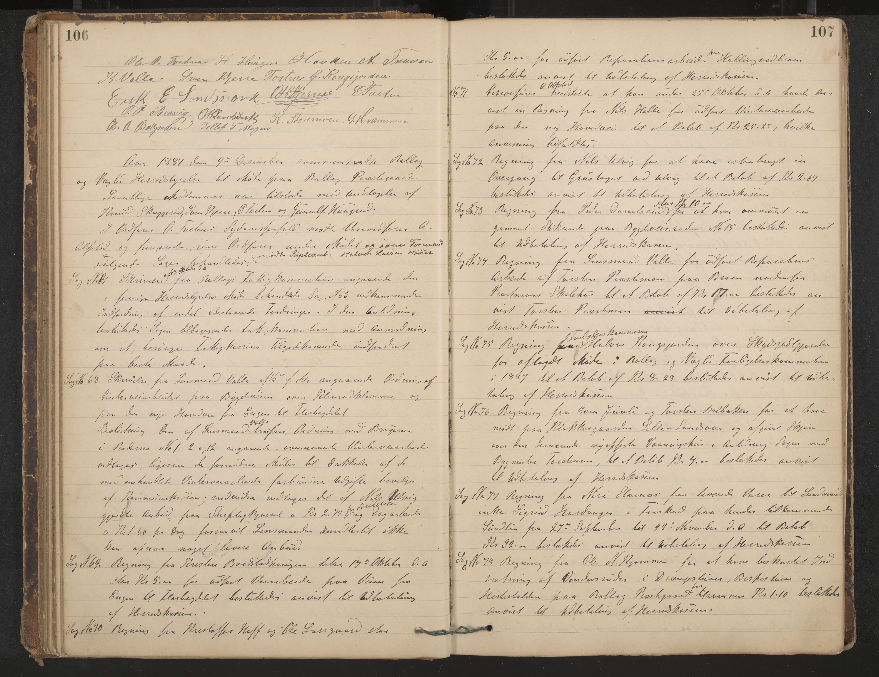 Rollag formannskap og sentraladministrasjon, IKAK/0632021-2/A/Aa/L0003: Møtebok, 1884-1897, p. 106-107