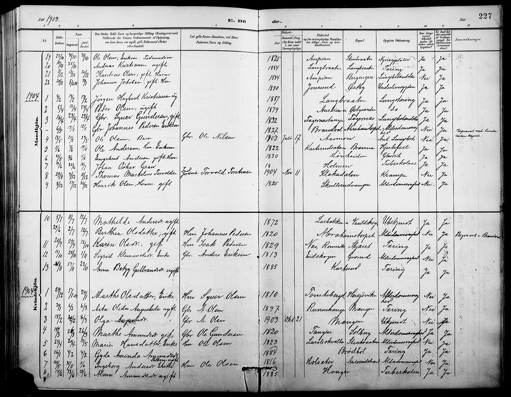 Vinger prestekontor, SAH/PREST-024/H/Ha/Hab/L0004: Parish register (copy) no. 4, 1895-1920, p. 227
