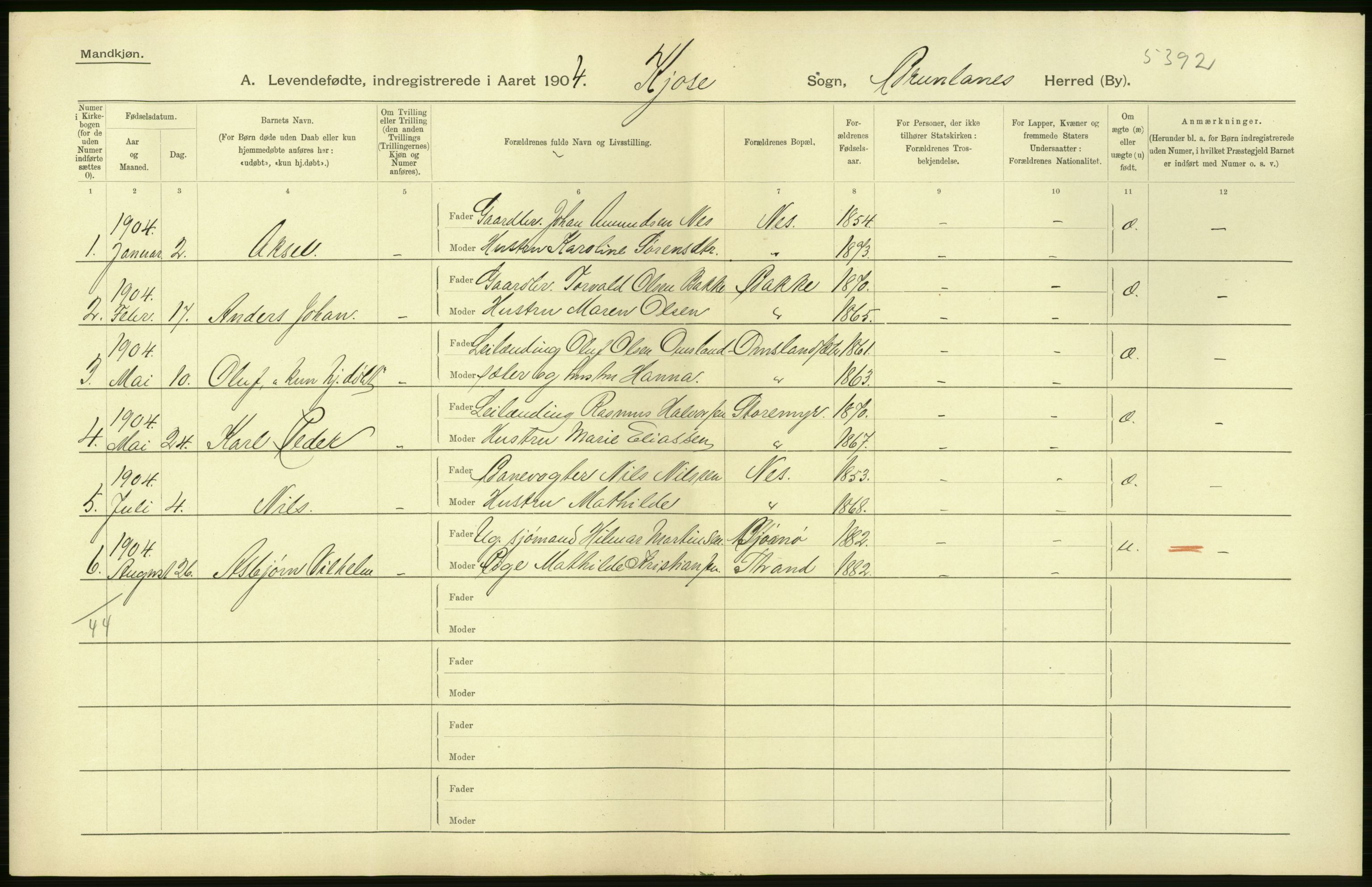 Statistisk sentralbyrå, Sosiodemografiske emner, Befolkning, AV/RA-S-2228/D/Df/Dfa/Dfab/L0008: Jarlsberg og Larvig amt: Fødte, gifte, døde, 1904, p. 36