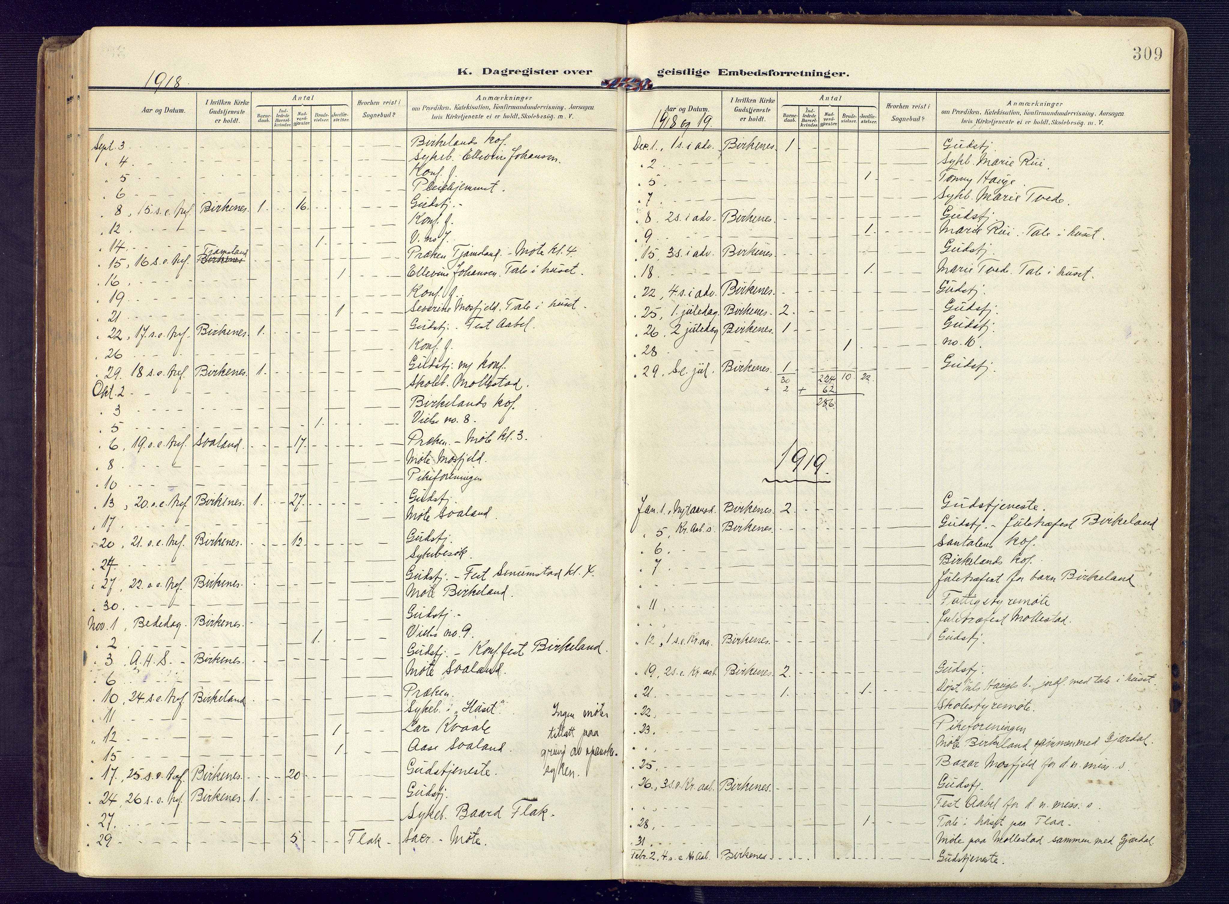 Birkenes sokneprestkontor, SAK/1111-0004/F/Fa/L0006: Parish register (official) no. A 6, 1908-1932, p. 309