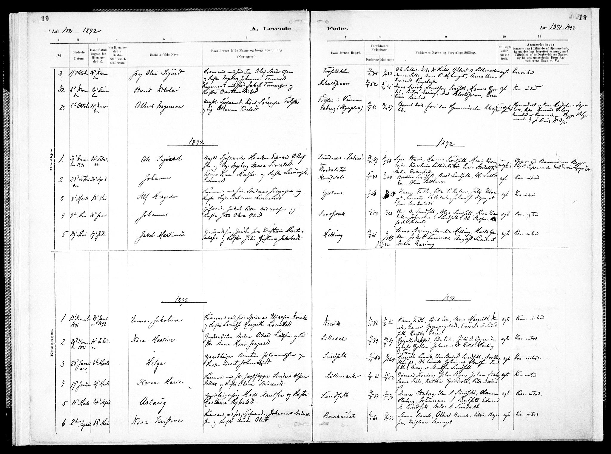 Ministerialprotokoller, klokkerbøker og fødselsregistre - Nord-Trøndelag, SAT/A-1458/733/L0325: Parish register (official) no. 733A04, 1884-1908, p. 19