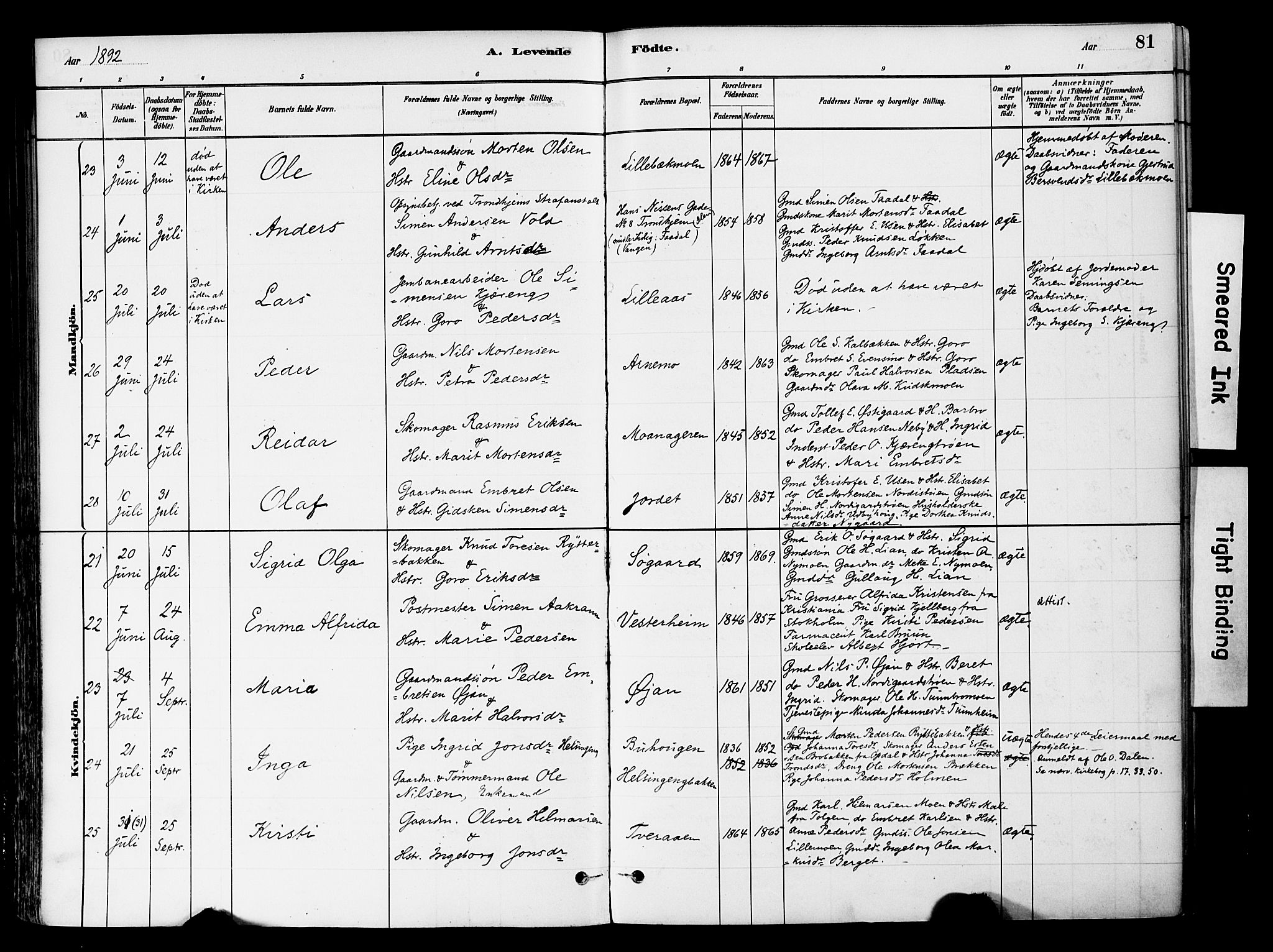 Tynset prestekontor, AV/SAH-PREST-058/H/Ha/Haa/L0022: Parish register (official) no. 22, 1880-1899, p. 81