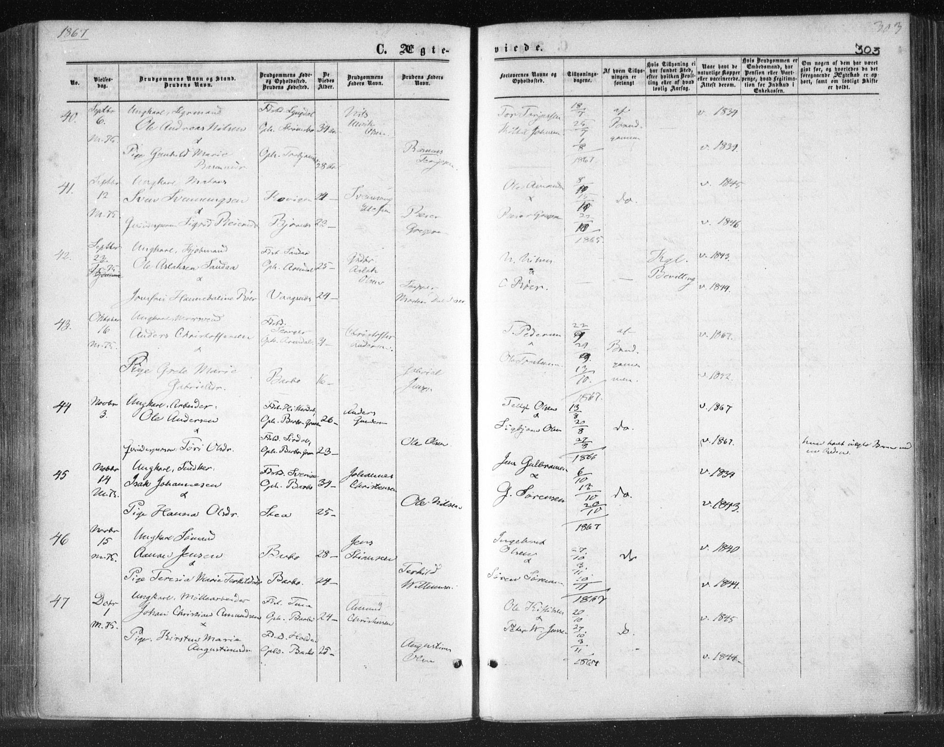 Tromøy sokneprestkontor, SAK/1111-0041/F/Fa/L0007: Parish register (official) no. A 7, 1864-1869, p. 303