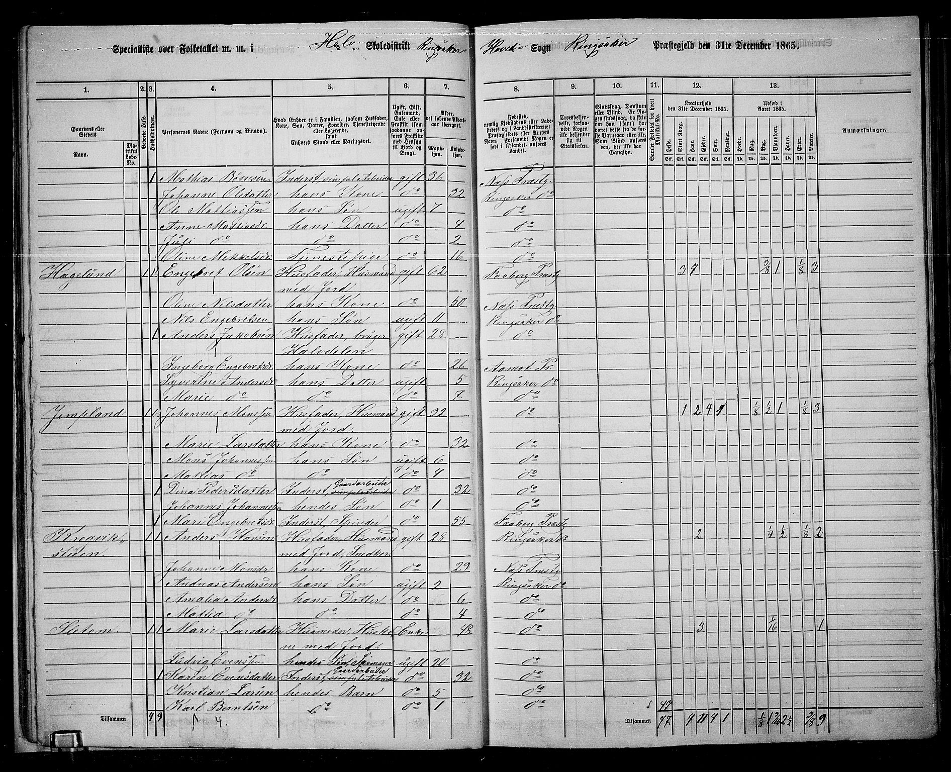 RA, 1865 census for Ringsaker, 1865, p. 37