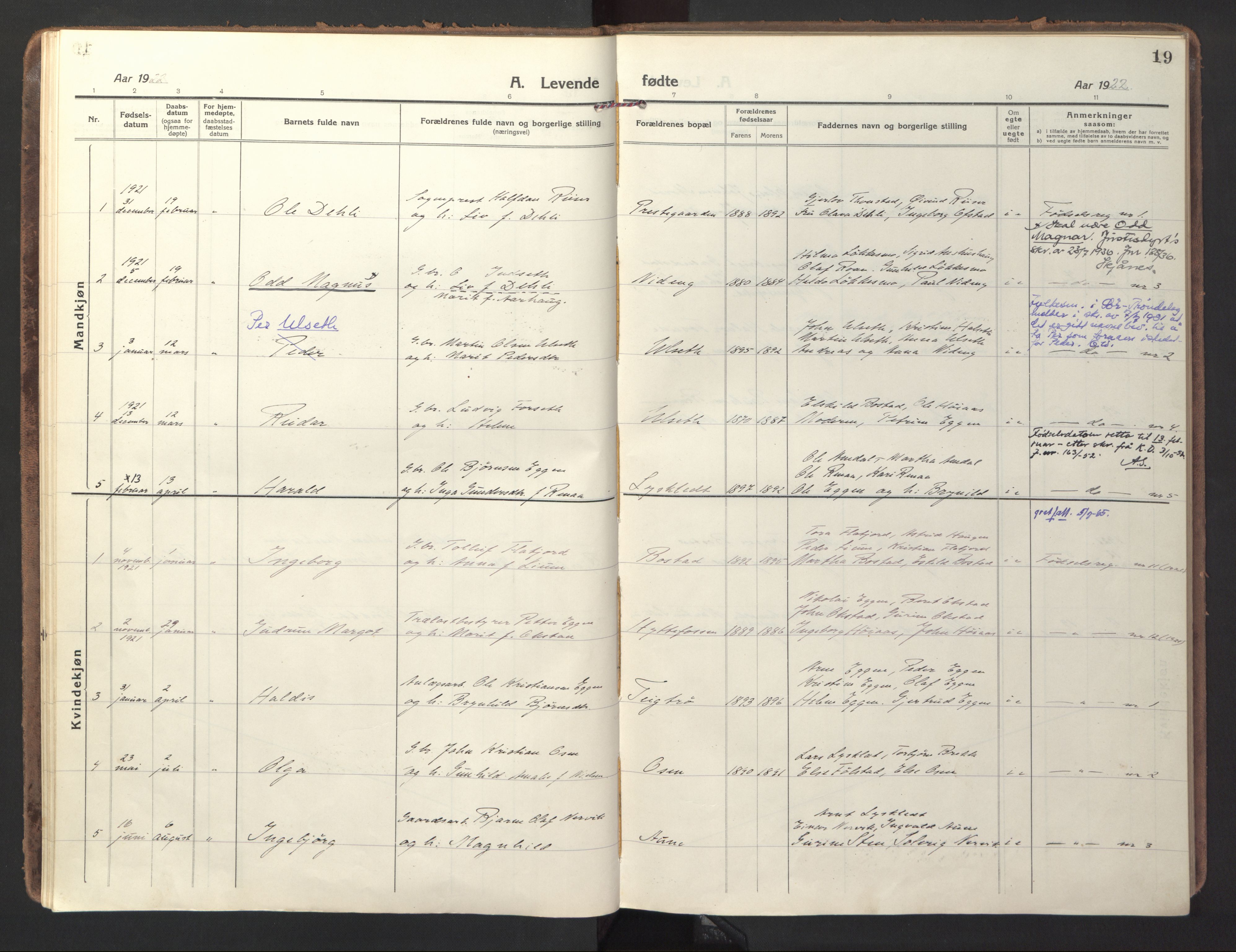 Ministerialprotokoller, klokkerbøker og fødselsregistre - Sør-Trøndelag, SAT/A-1456/618/L0449: Parish register (official) no. 618A12, 1917-1924, p. 19