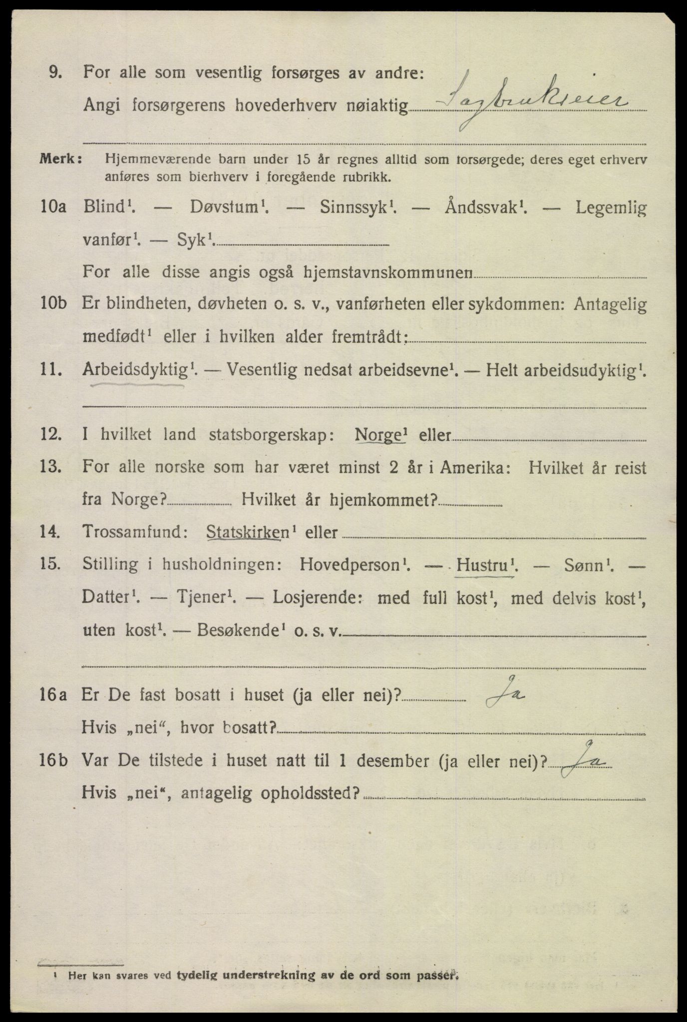 SAK, 1920 census for Holt, 1920, p. 5207