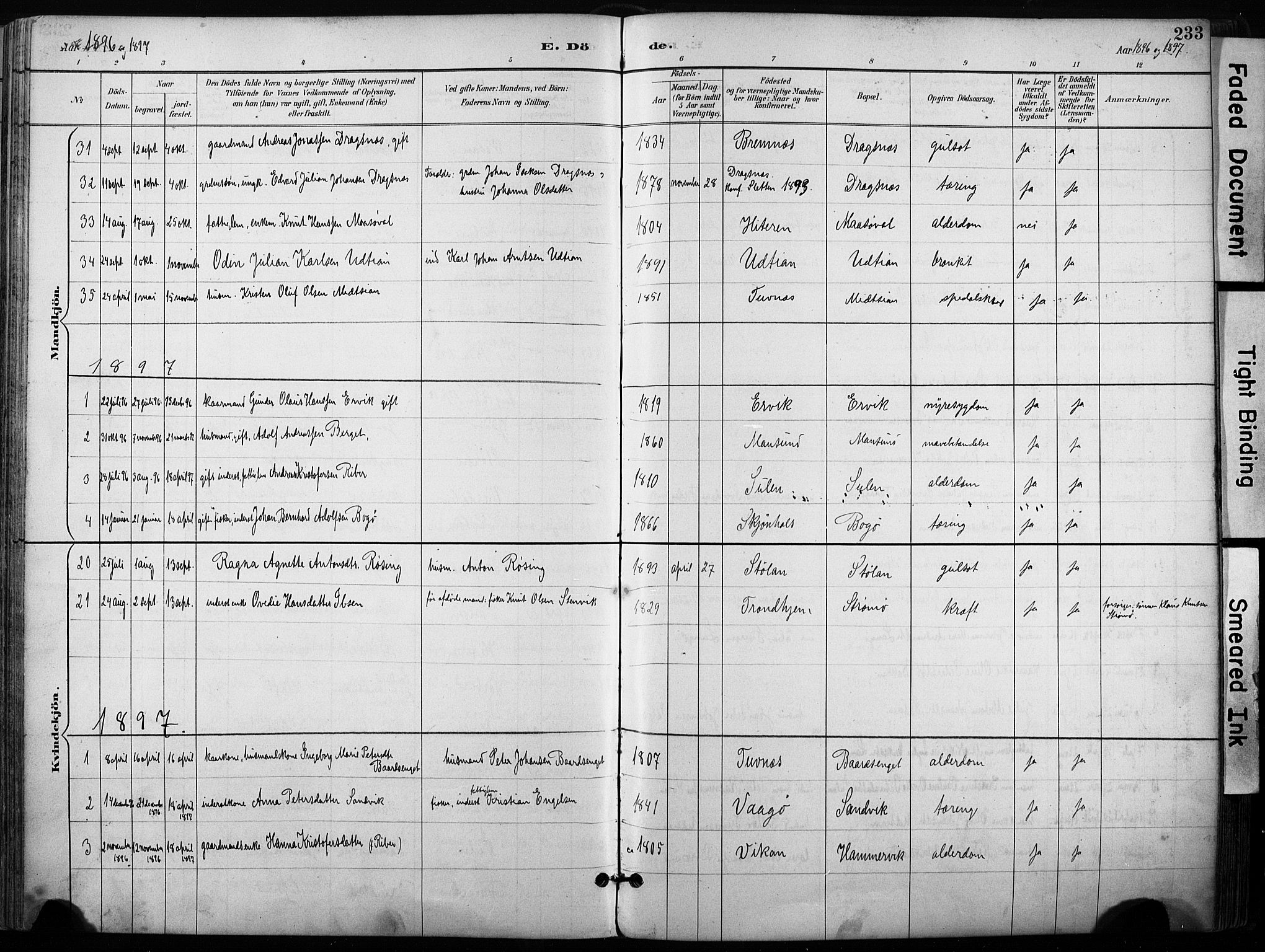 Ministerialprotokoller, klokkerbøker og fødselsregistre - Sør-Trøndelag, SAT/A-1456/640/L0579: Parish register (official) no. 640A04, 1889-1902, p. 233