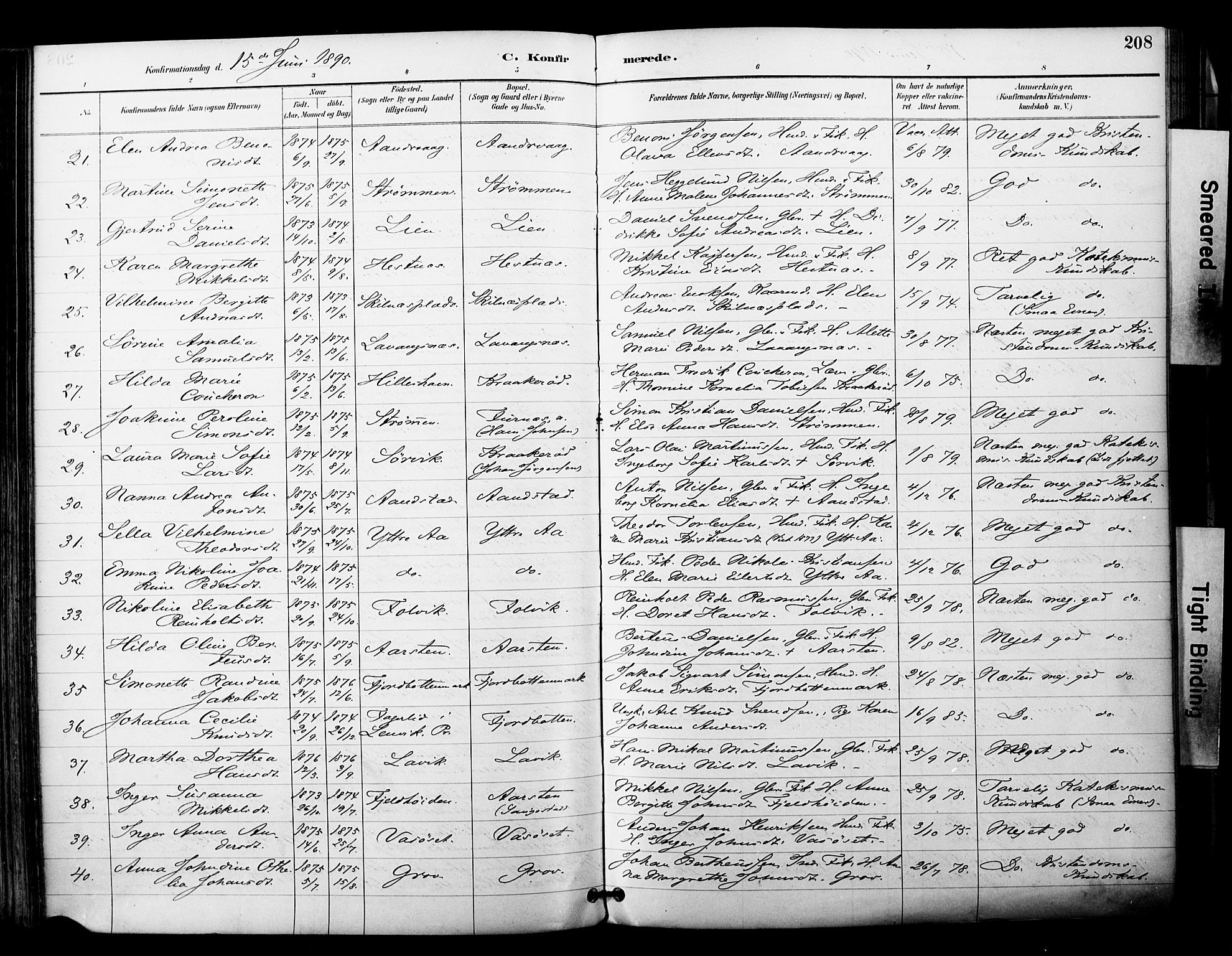 Ibestad sokneprestembete, SATØ/S-0077/H/Ha/Haa/L0012kirke: Parish register (official) no. 12, 1890-1900, p. 208