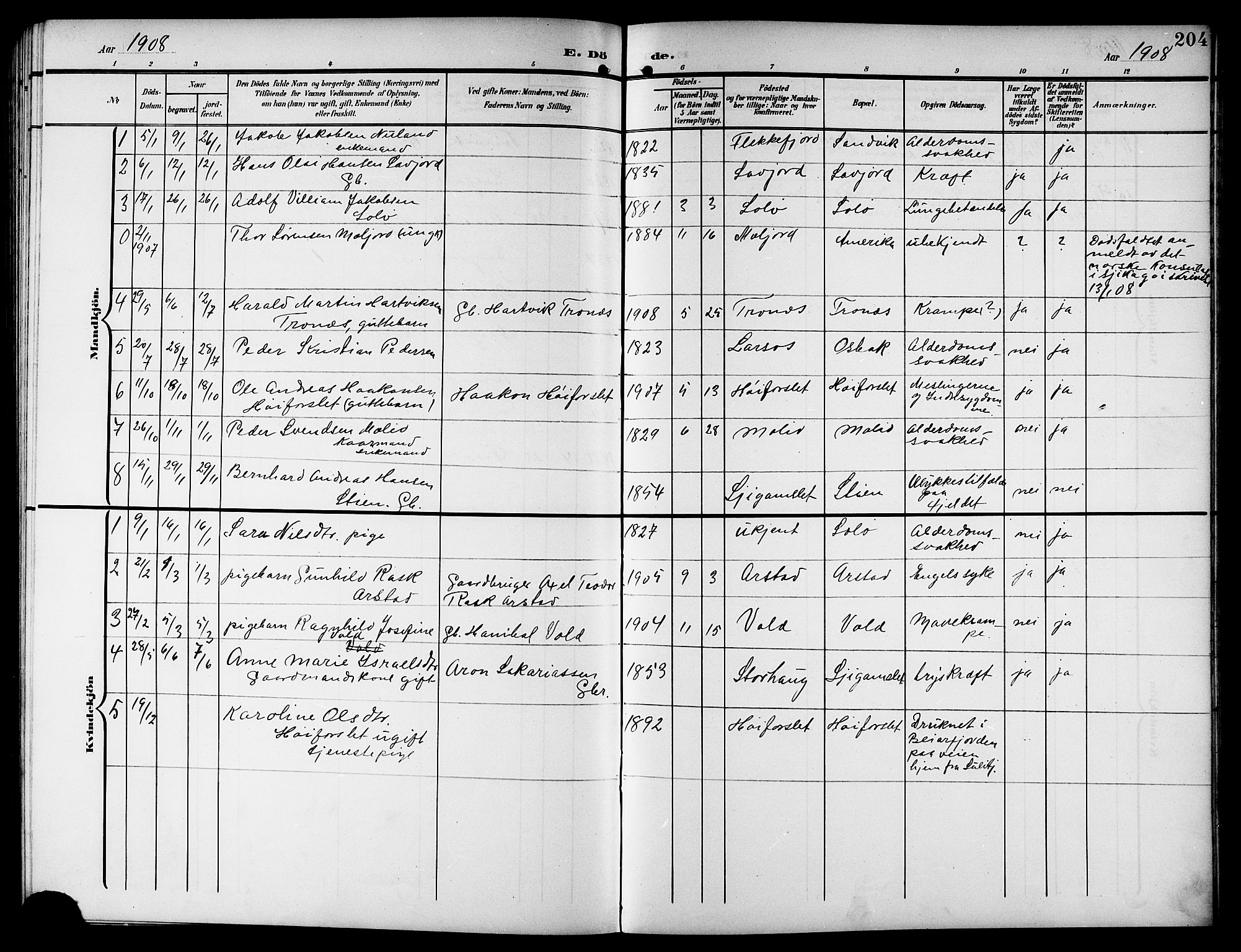 Ministerialprotokoller, klokkerbøker og fødselsregistre - Nordland, SAT/A-1459/846/L0655: Parish register (copy) no. 846C05, 1902-1916, p. 204