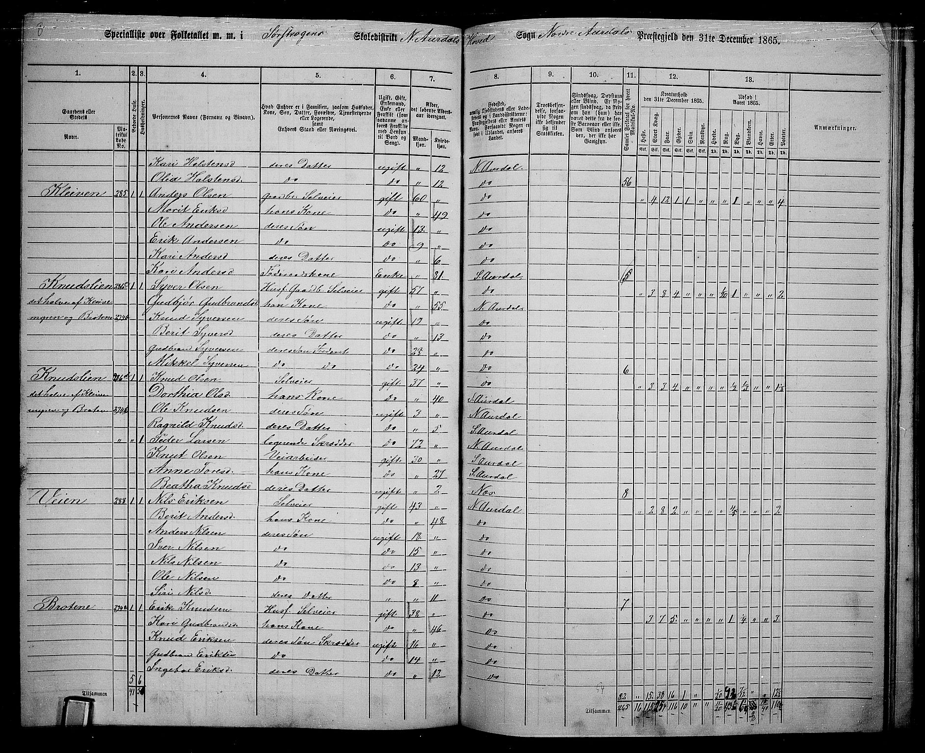 RA, 1865 census for Nord-Aurdal, 1865, p. 202