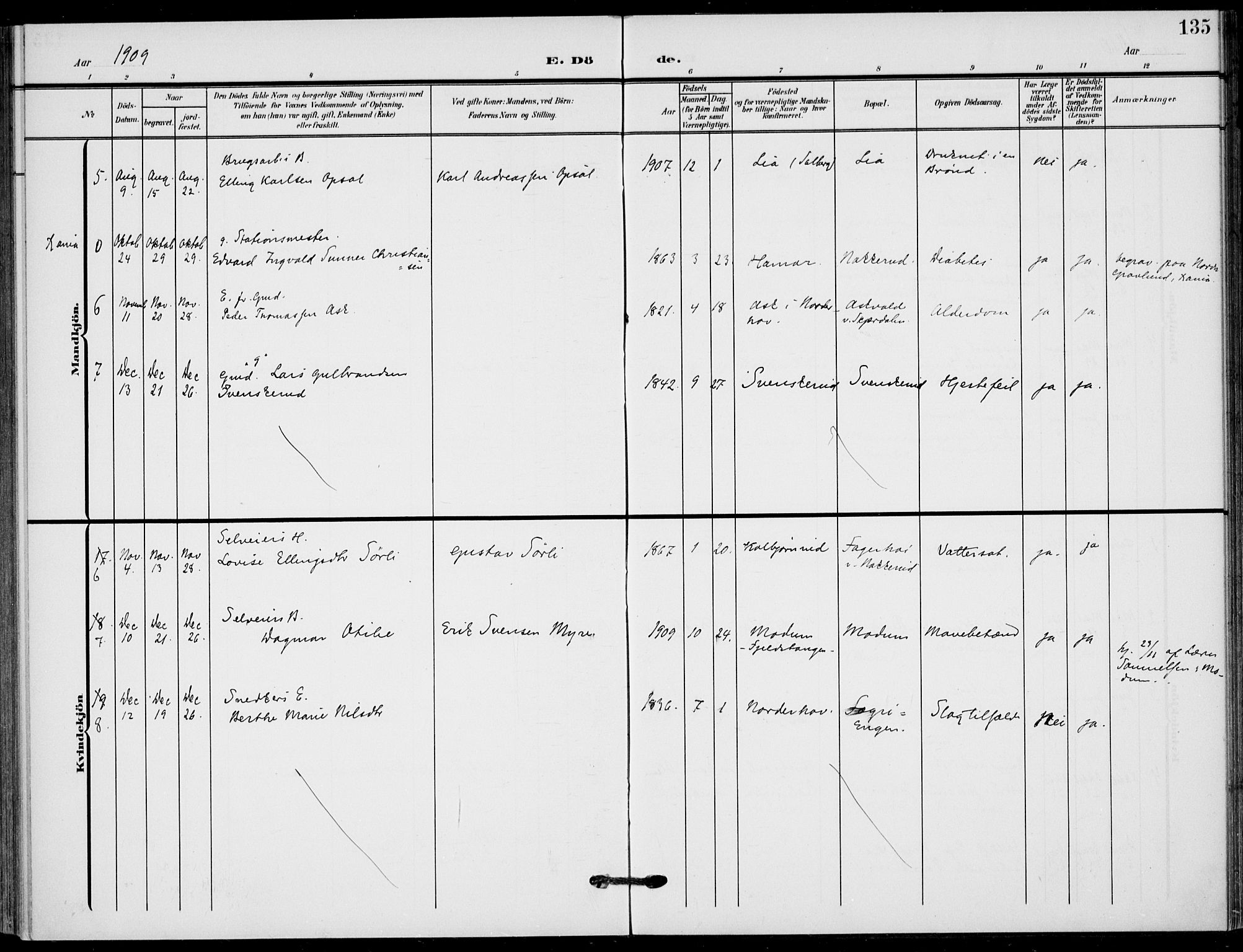 Hole kirkebøker, SAKO/A-228/F/Fb/L0003: Parish register (official) no. II 3, 1906-1916, p. 135