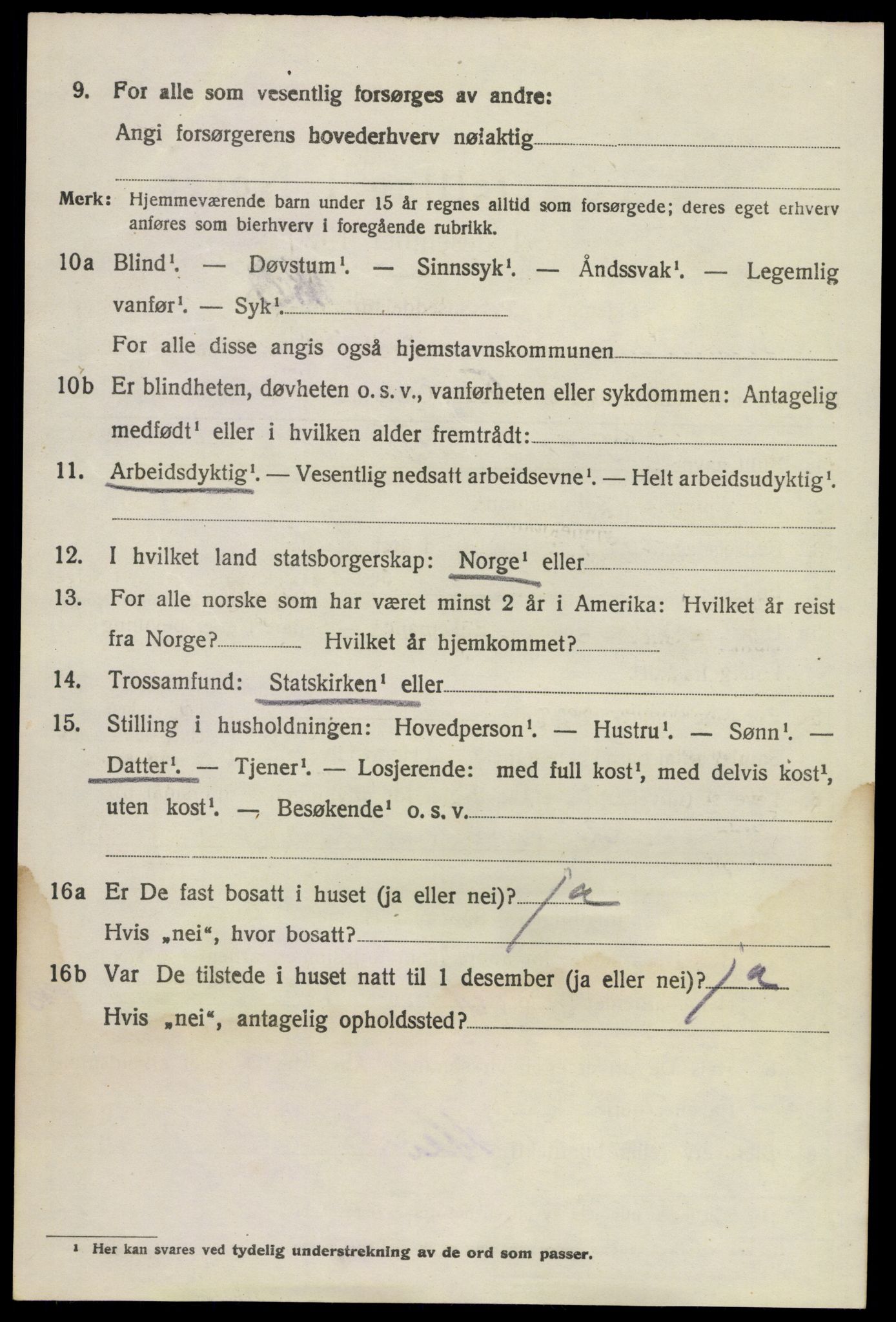 SAKO, 1920 census for Brunlanes, 1920, p. 6084
