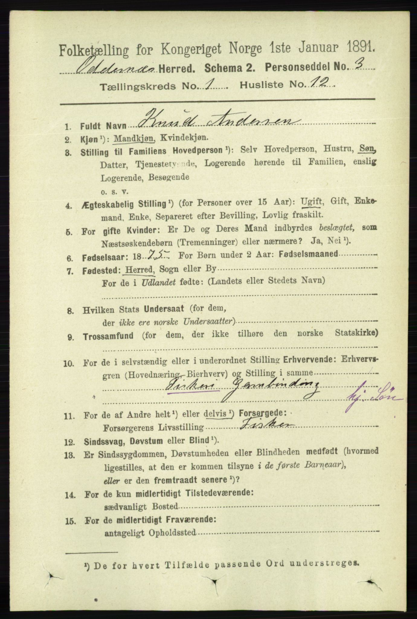 RA, 1891 census for 1012 Oddernes, 1891, p. 176