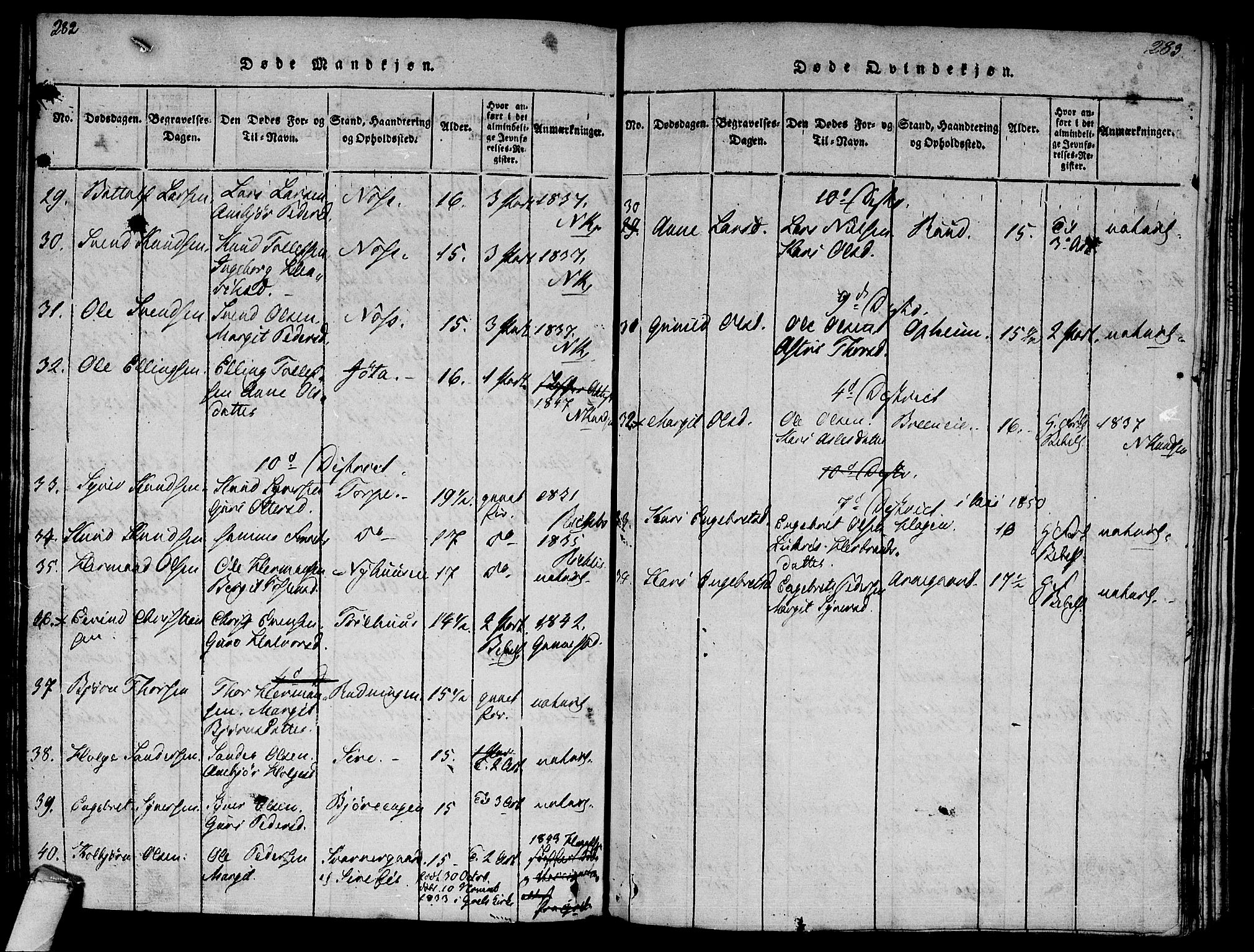 Ål kirkebøker, AV/SAKO-A-249/F/Fa/L0004: Parish register (official) no. I 4, 1815-1825, p. 282-283