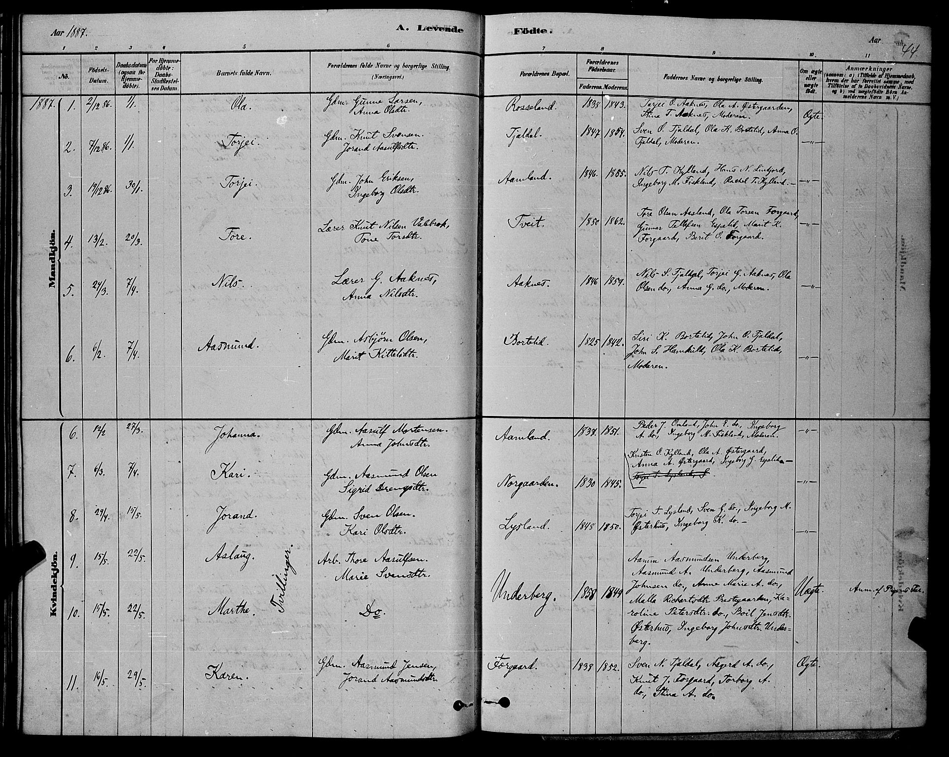 Åseral sokneprestkontor, AV/SAK-1111-0051/F/Fb/L0002: Parish register (copy) no. B 2, 1878-1899, p. 44