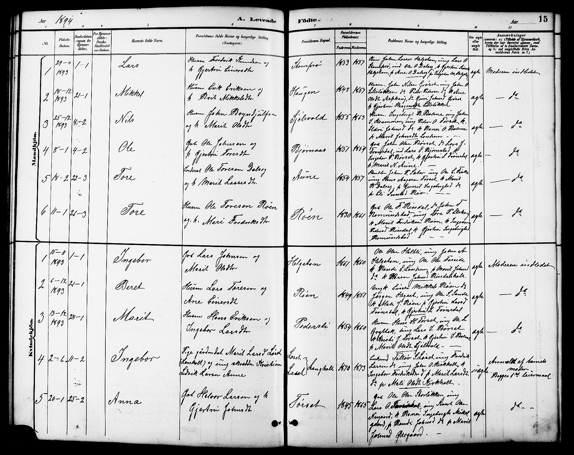 Ministerialprotokoller, klokkerbøker og fødselsregistre - Møre og Romsdal, AV/SAT-A-1454/598/L1078: Parish register (copy) no. 598C03, 1892-1909, p. 15