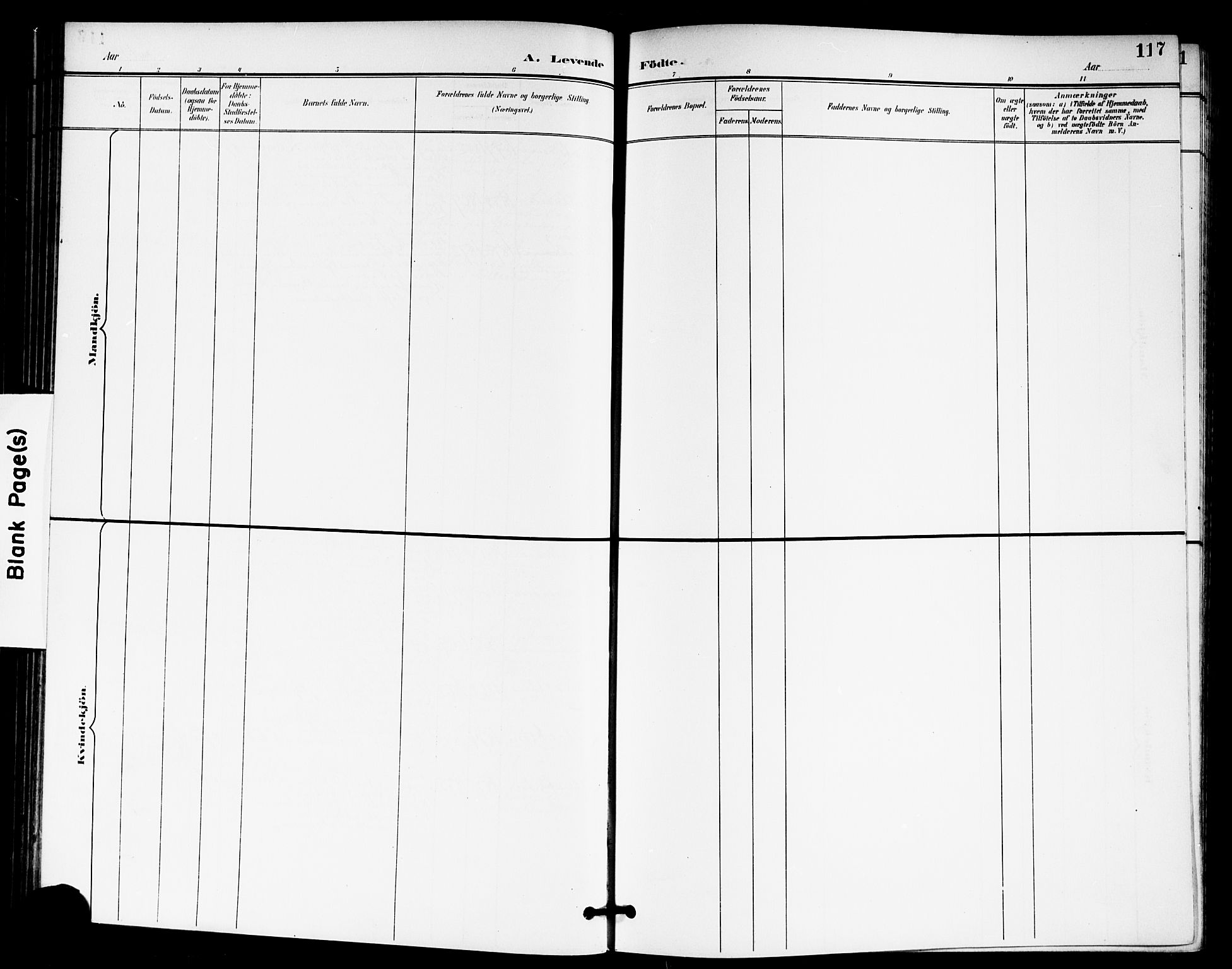 Skedsmo prestekontor Kirkebøker, AV/SAO-A-10033a/G/Ga/L0005a: Parish register (copy) no. I 5A, 1896-1901, p. 117