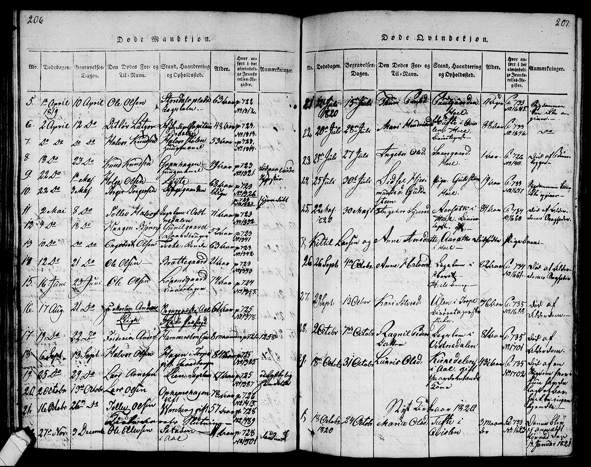 Ål kirkebøker, SAKO/A-249/G/Ga/L0001: Parish register (copy) no. 1, 1815-1829, p. 206-207