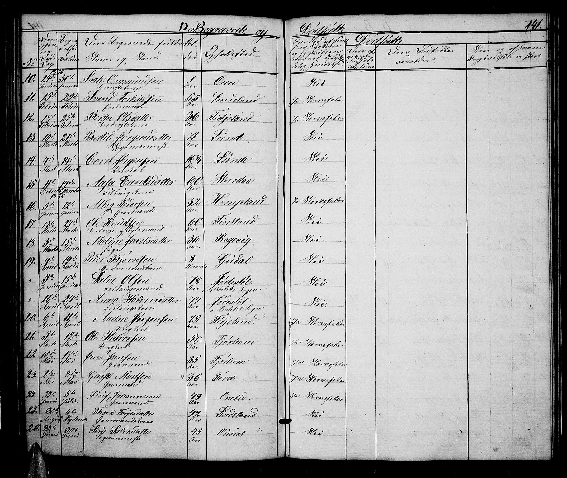 Sirdal sokneprestkontor, AV/SAK-1111-0036/F/Fb/Fbb/L0002: Parish register (copy) no. B 2, 1848-1878, p. 141