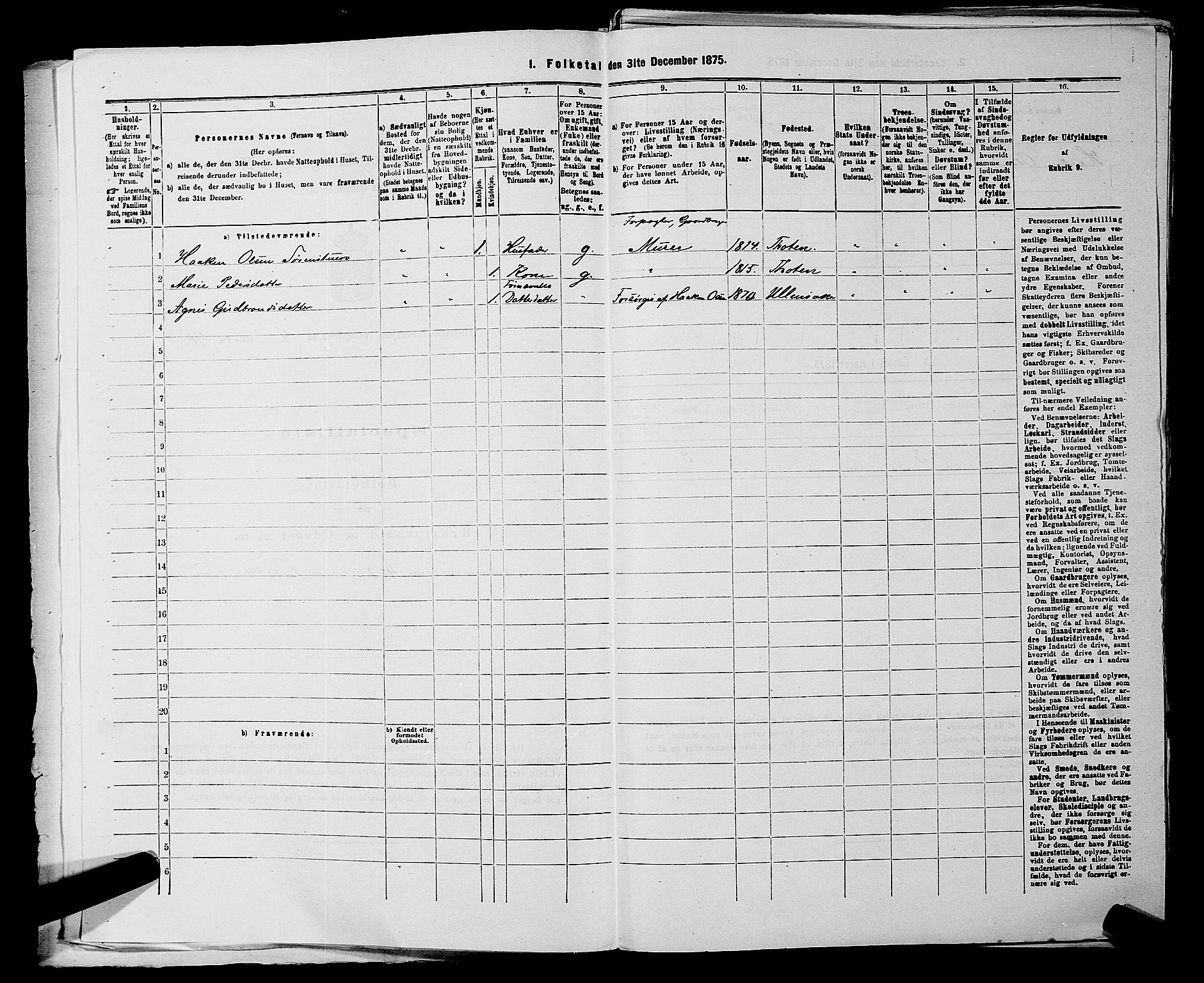 RA, 1875 census for 0235P Ullensaker, 1875, p. 1244