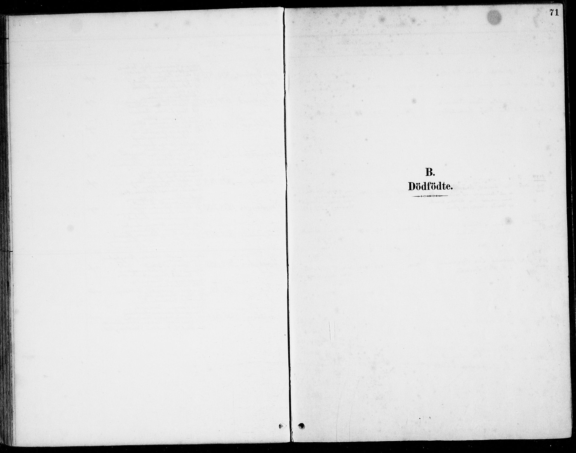 Herad sokneprestkontor, SAK/1111-0018/F/Fa/Fab/L0005: Parish register (official) no. A 5, 1886-1913, p. 71