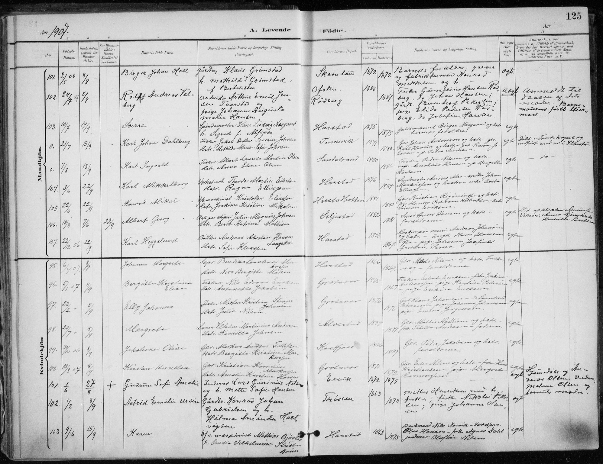 Trondenes sokneprestkontor, SATØ/S-1319/H/Ha/L0017kirke: Parish register (official) no. 17, 1899-1908, p. 125