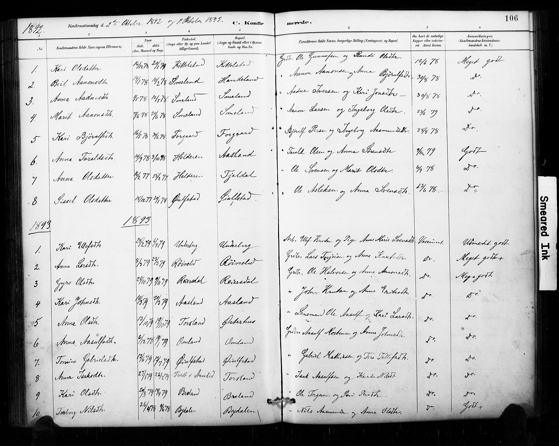 Åseral sokneprestkontor, AV/SAK-1111-0051/F/Fa/L0003: Parish register (official) no. A 3, 1884-1901, p. 106