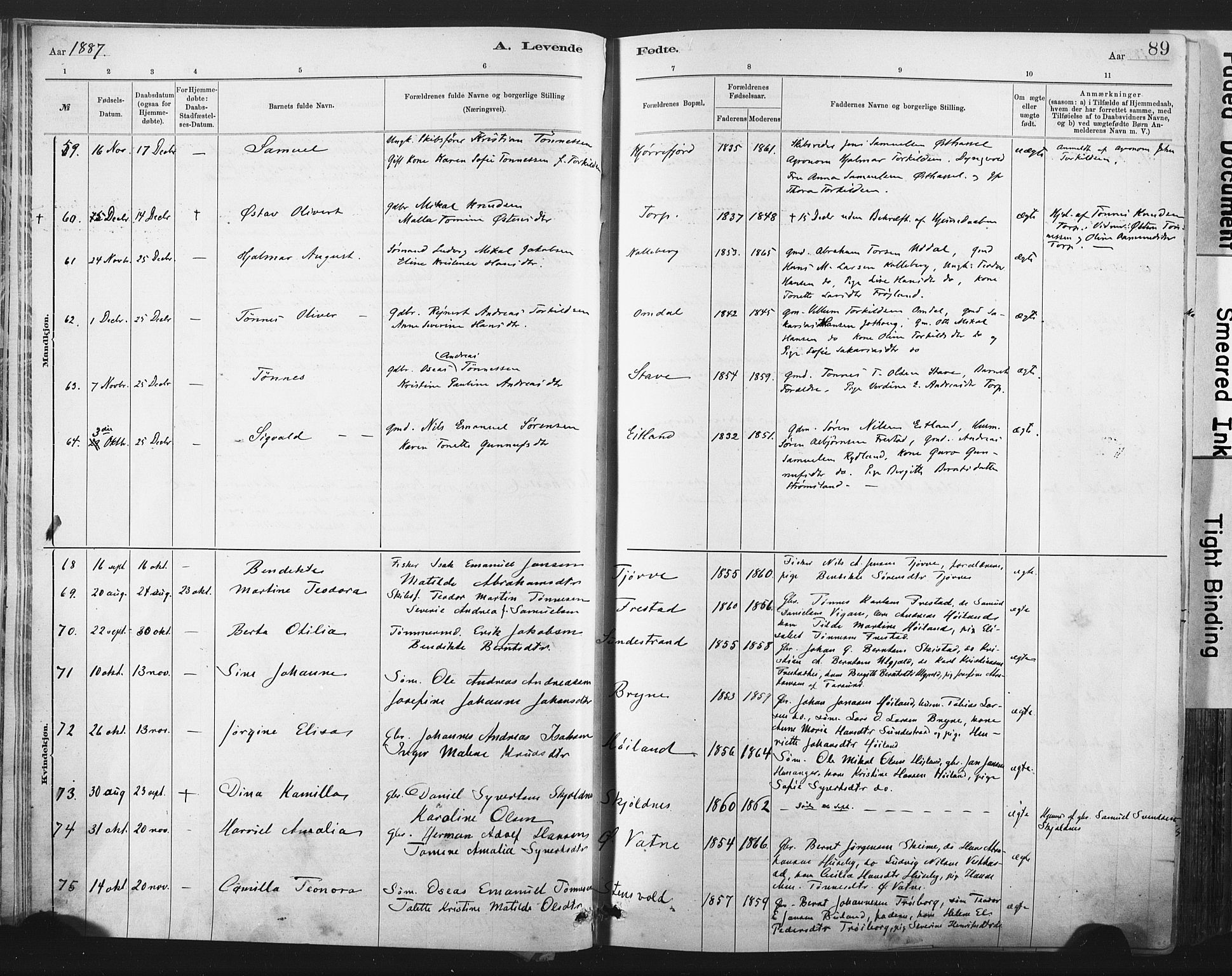 Lista sokneprestkontor, AV/SAK-1111-0027/F/Fa/L0012: Parish register (official) no. A 12, 1879-1903, p. 89