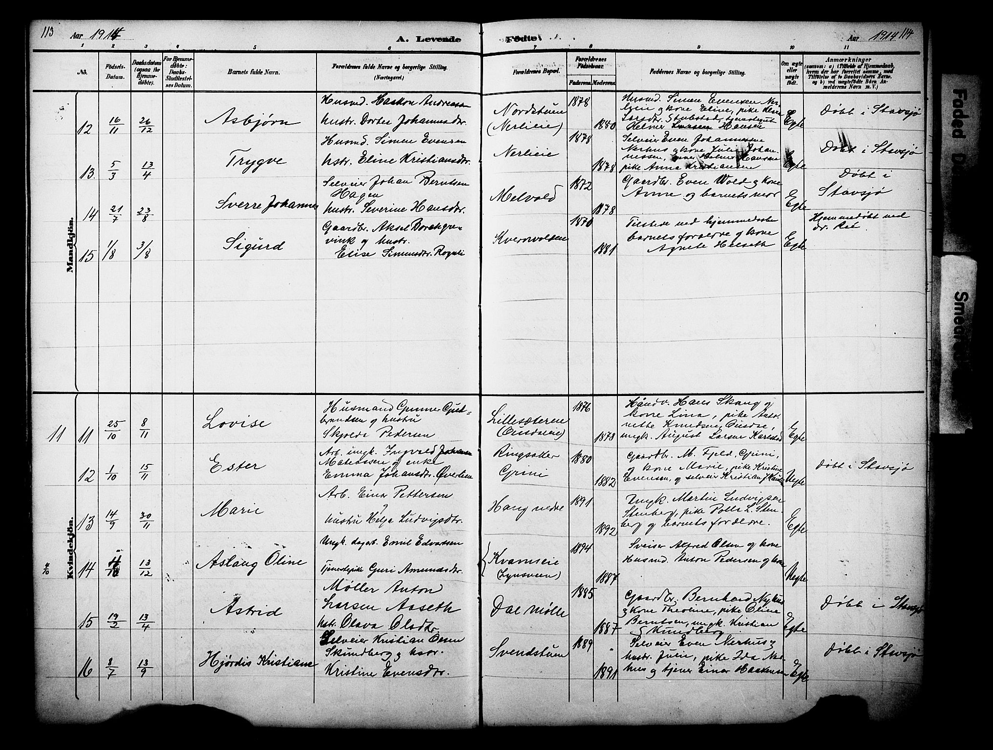 Nes prestekontor, Hedmark, AV/SAH-PREST-020/L/La/L0006: Parish register (copy) no. 6, 1890-1932, p. 113-114