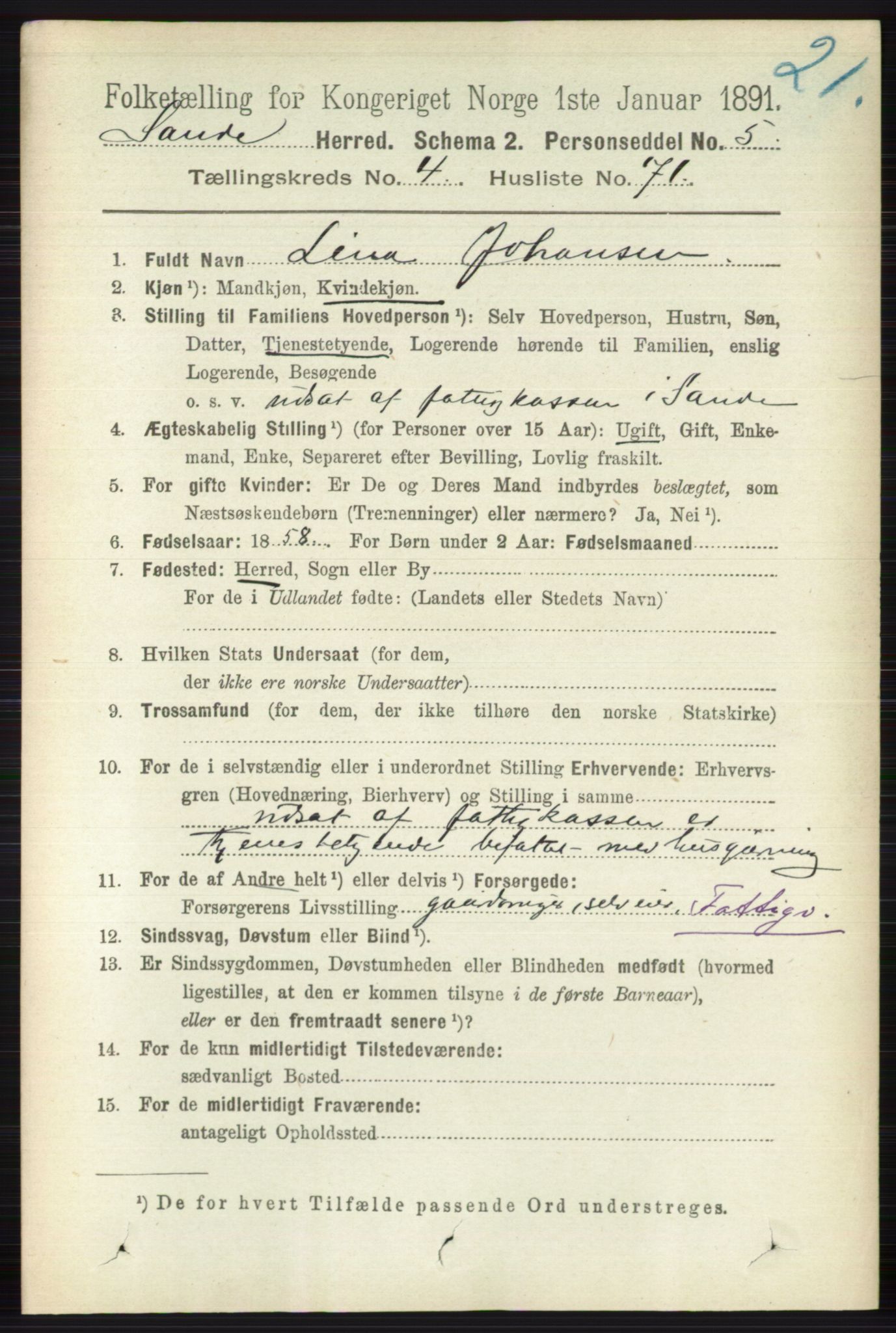 RA, 1891 census for 0713 Sande, 1891, p. 1914