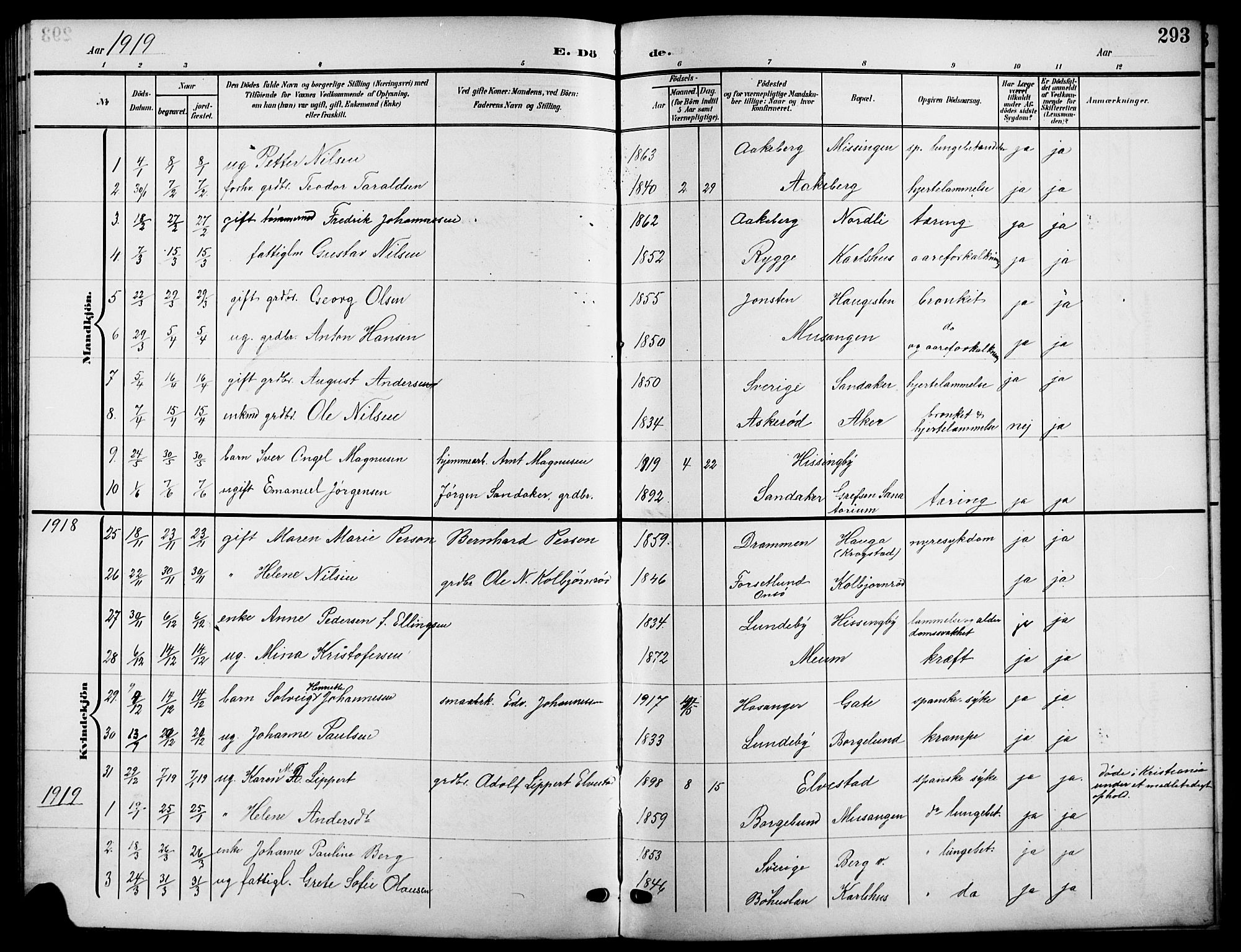 Råde prestekontor kirkebøker, SAO/A-2009/G/Ga/L0001: Parish register (copy) no. 1, 1903-1925, p. 293