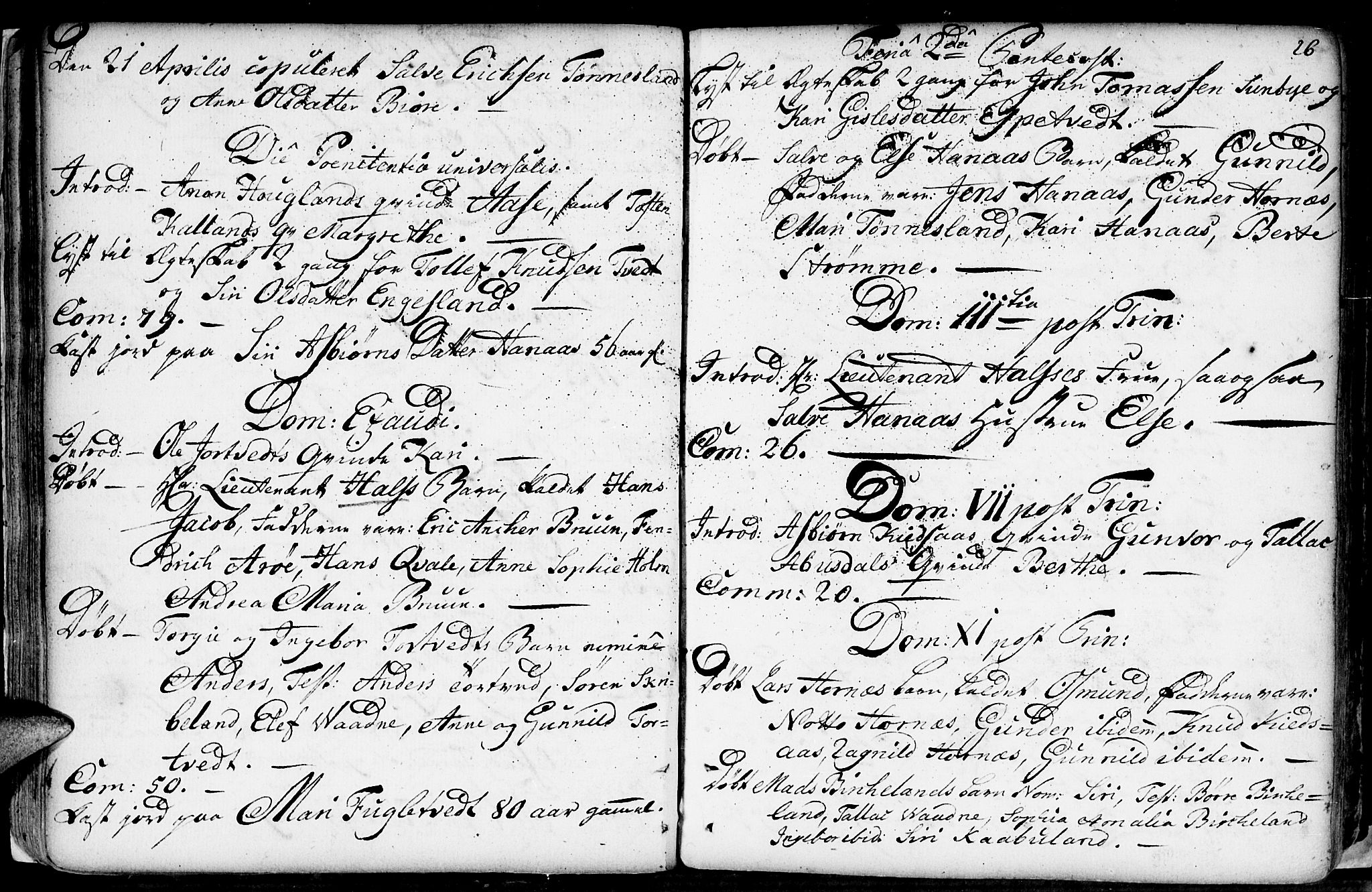 Evje sokneprestkontor, AV/SAK-1111-0008/F/Fa/Fab/L0002: Parish register (official) no. A 2, 1765-1816, p. 26