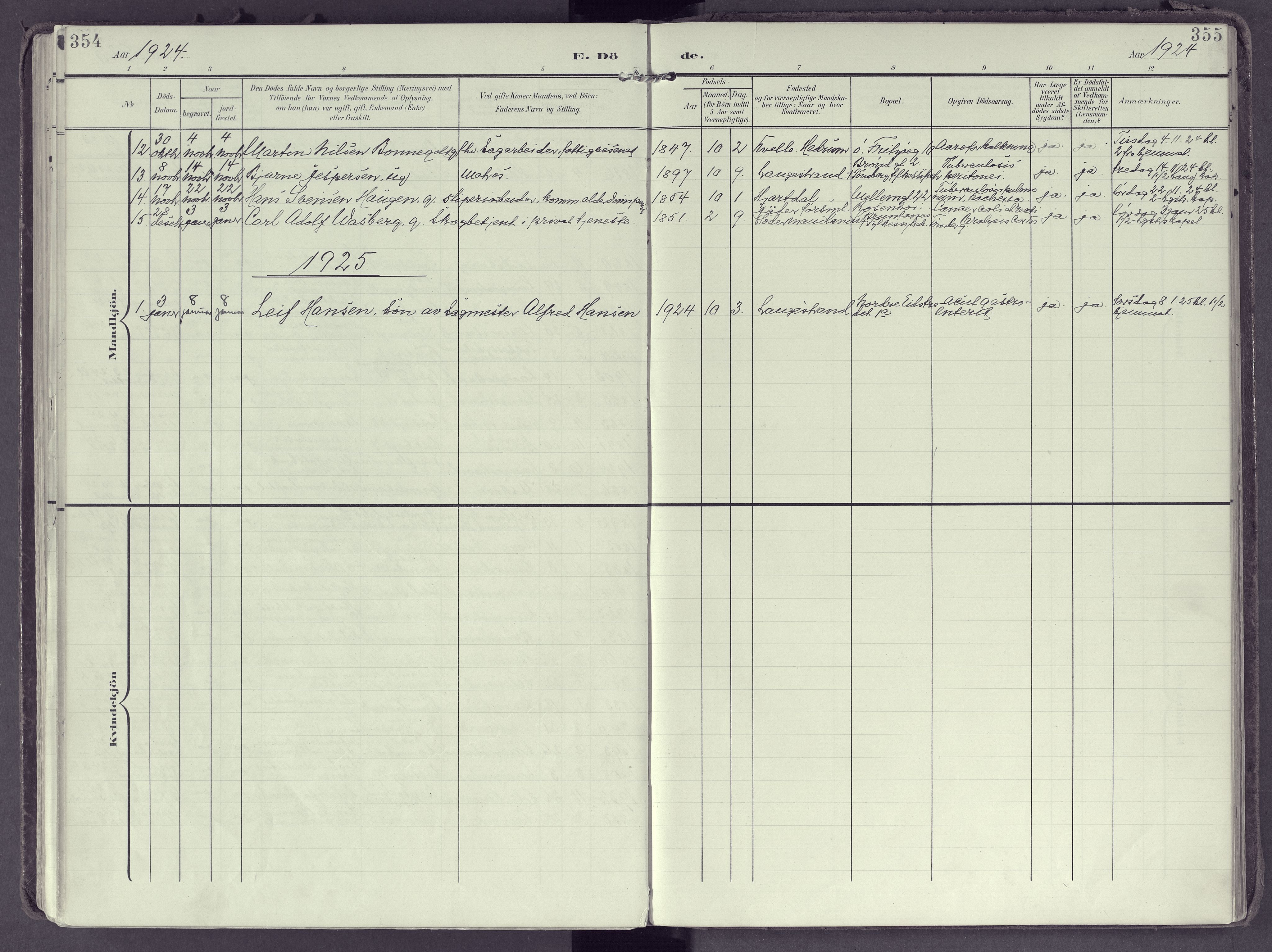 Larvik kirkebøker, AV/SAKO-A-352/F/Fb/L0005: Parish register (official) no. II 5, 1903-1925, p. 354-355