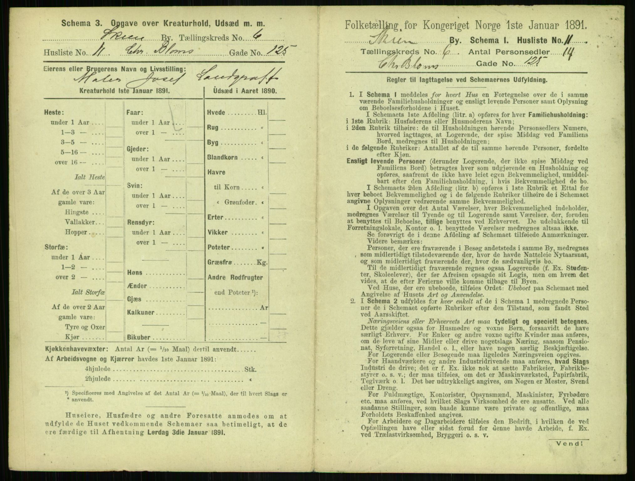 RA, 1891 census for 0806 Skien, 1891, p. 300